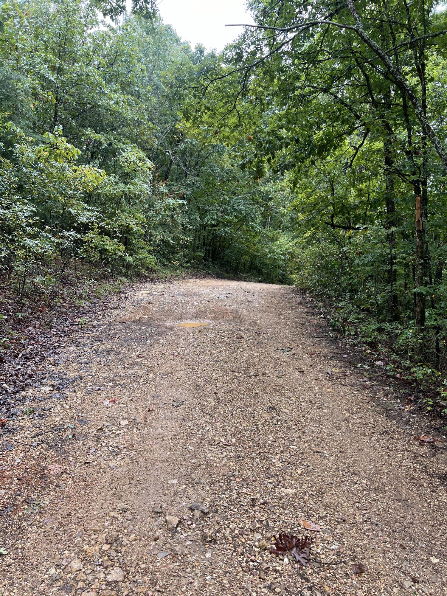 Lot 7 Needles Eye Trail Property Photo 3