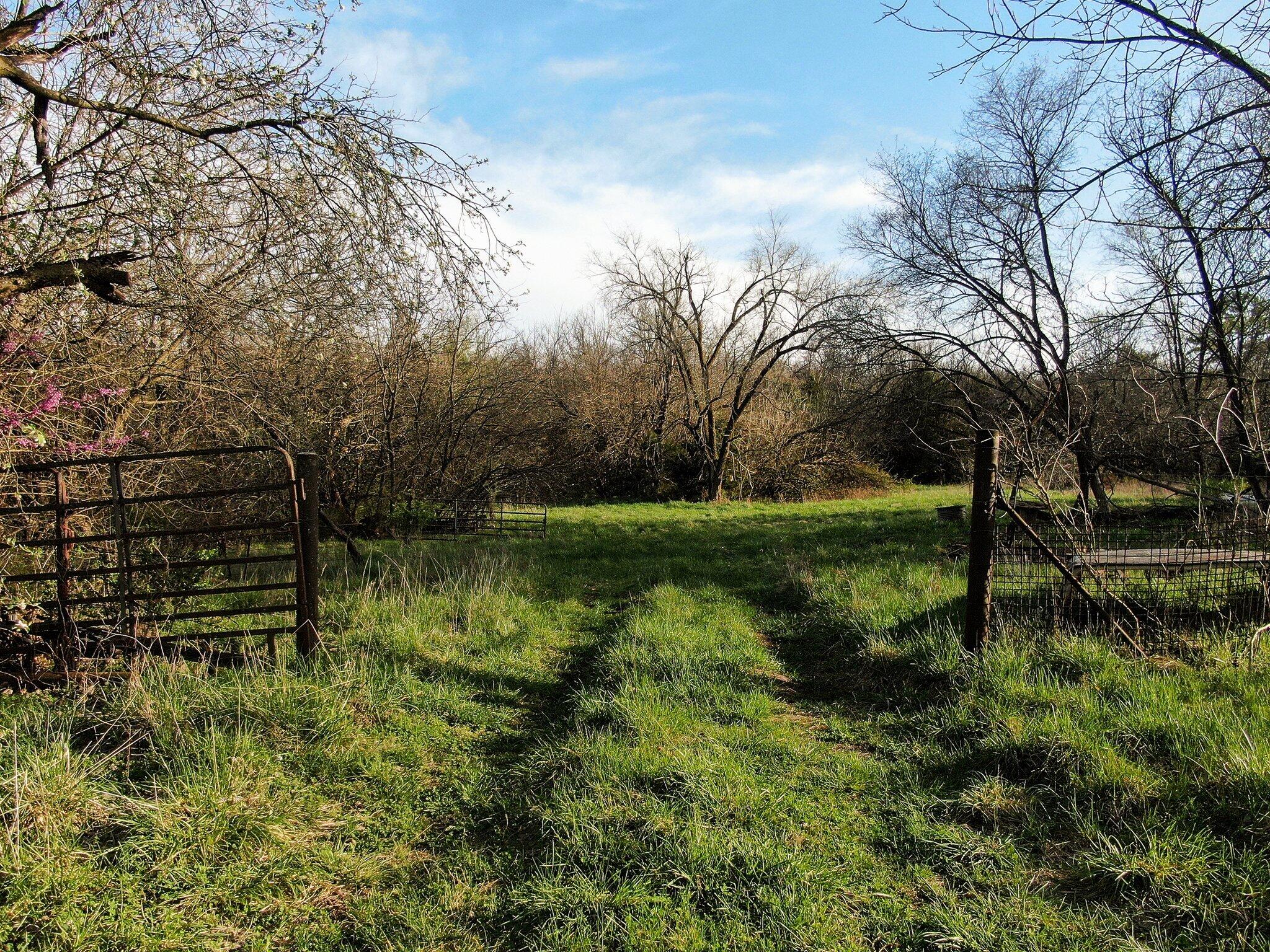 60290911 Property Photo 1