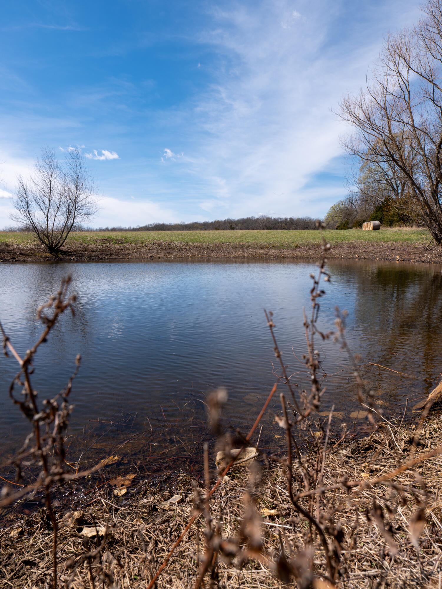 000 State Highway 39 Property Photo 3