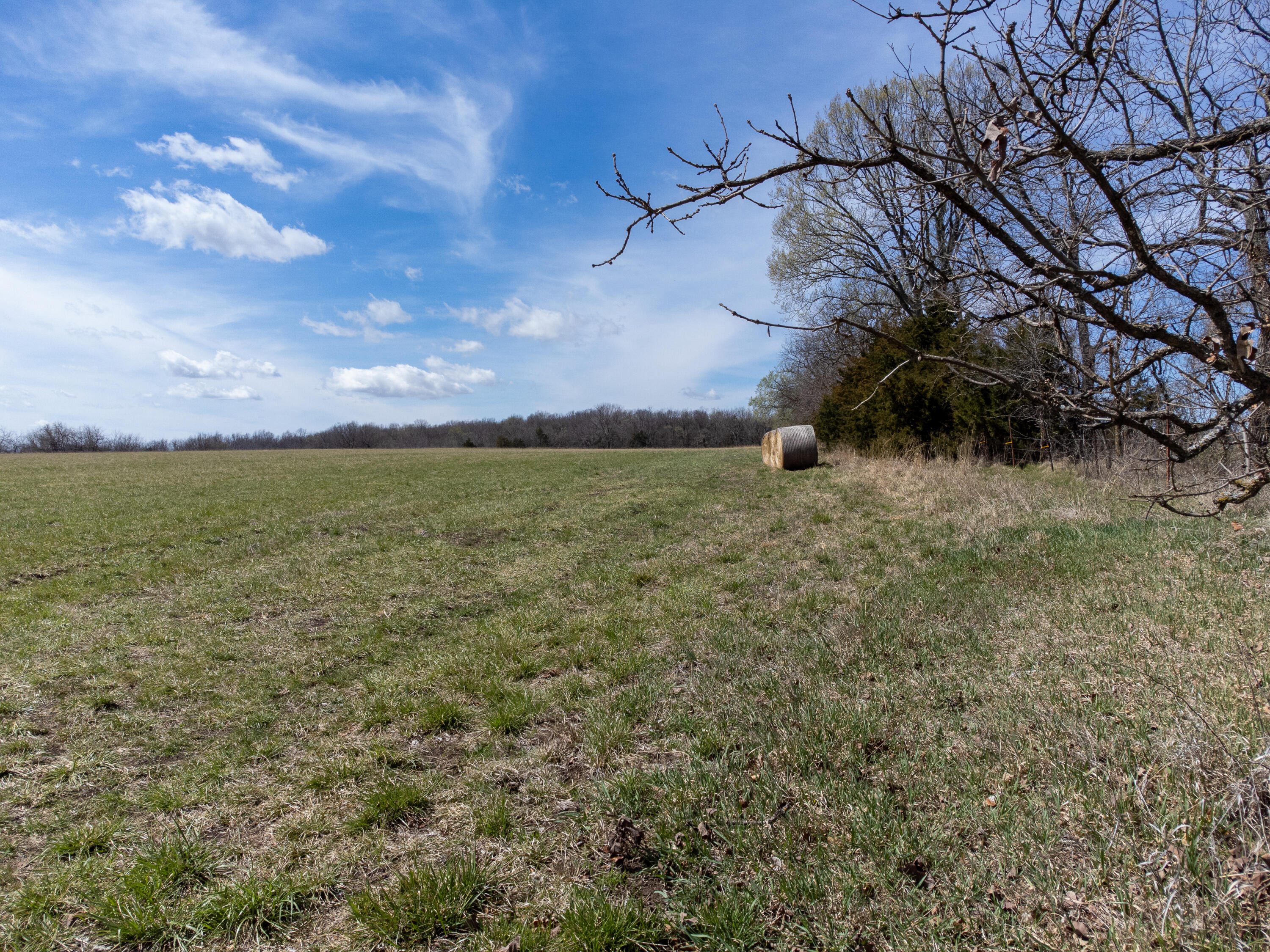000 State Highway 39 Property Photo 7