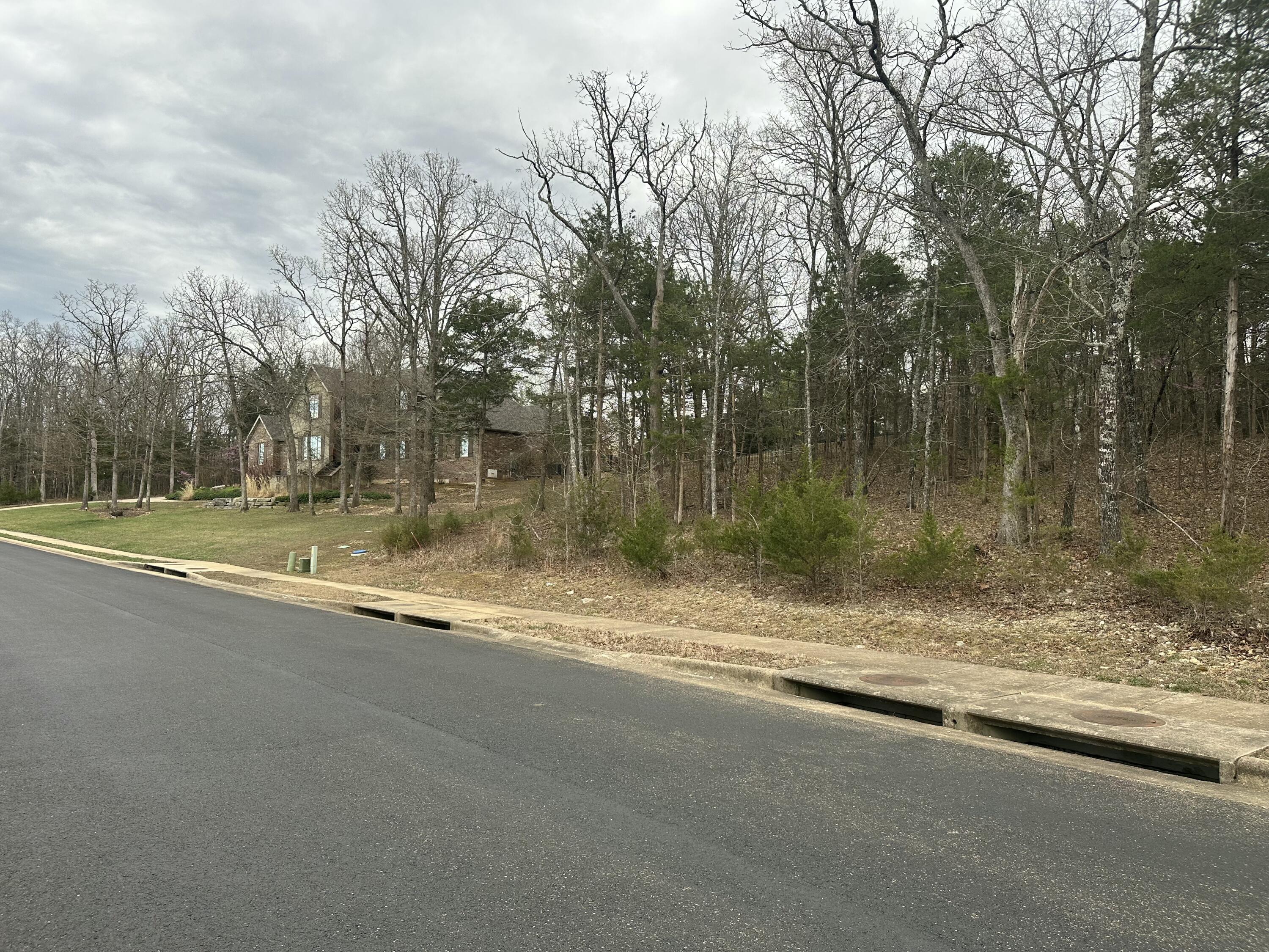 000 Royal Dornoch Drive Property Photo 3