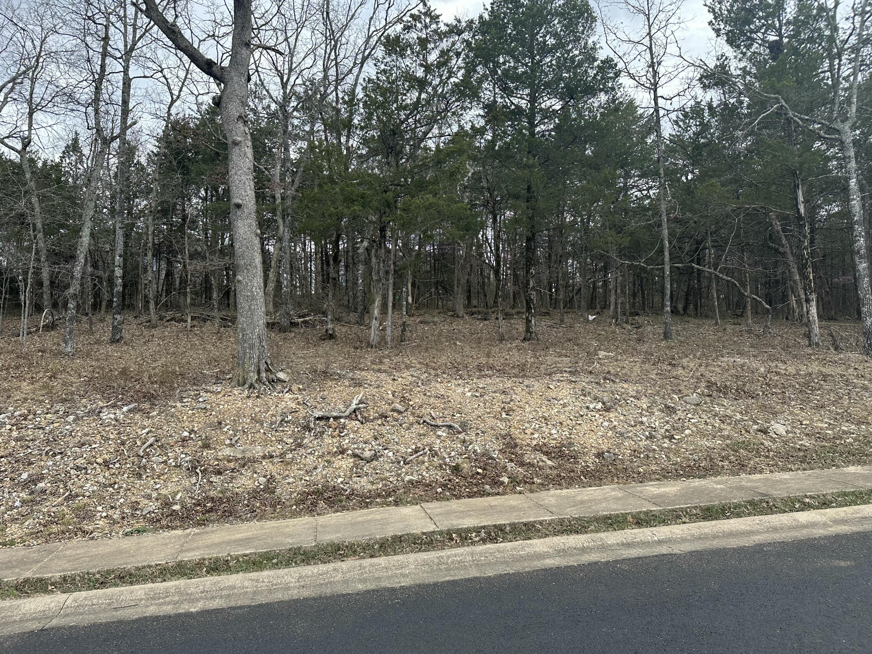 000 Royal Dornoch Drive Property Photo 6