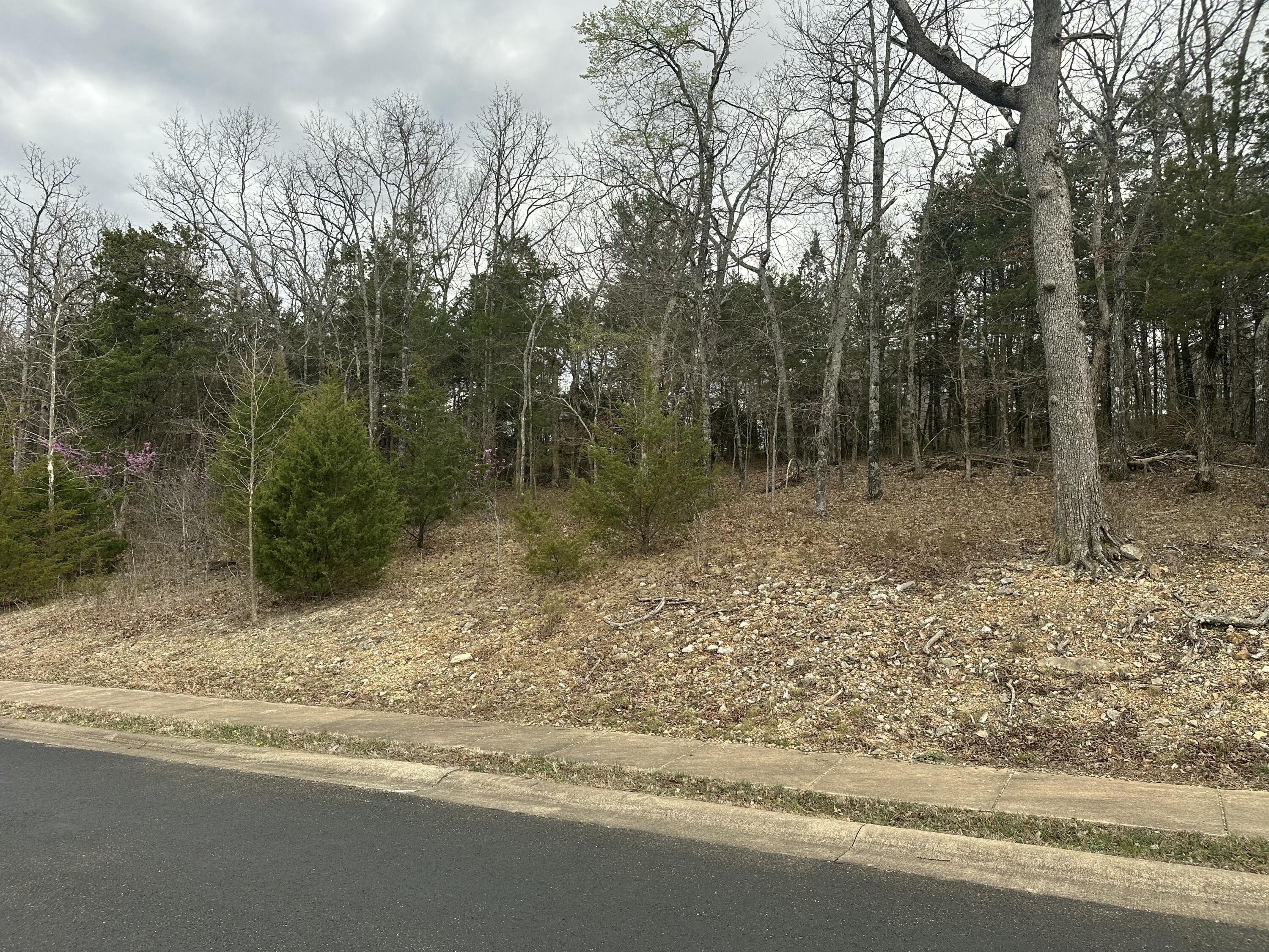 000 Royal Dornoch Drive Property Photo 7