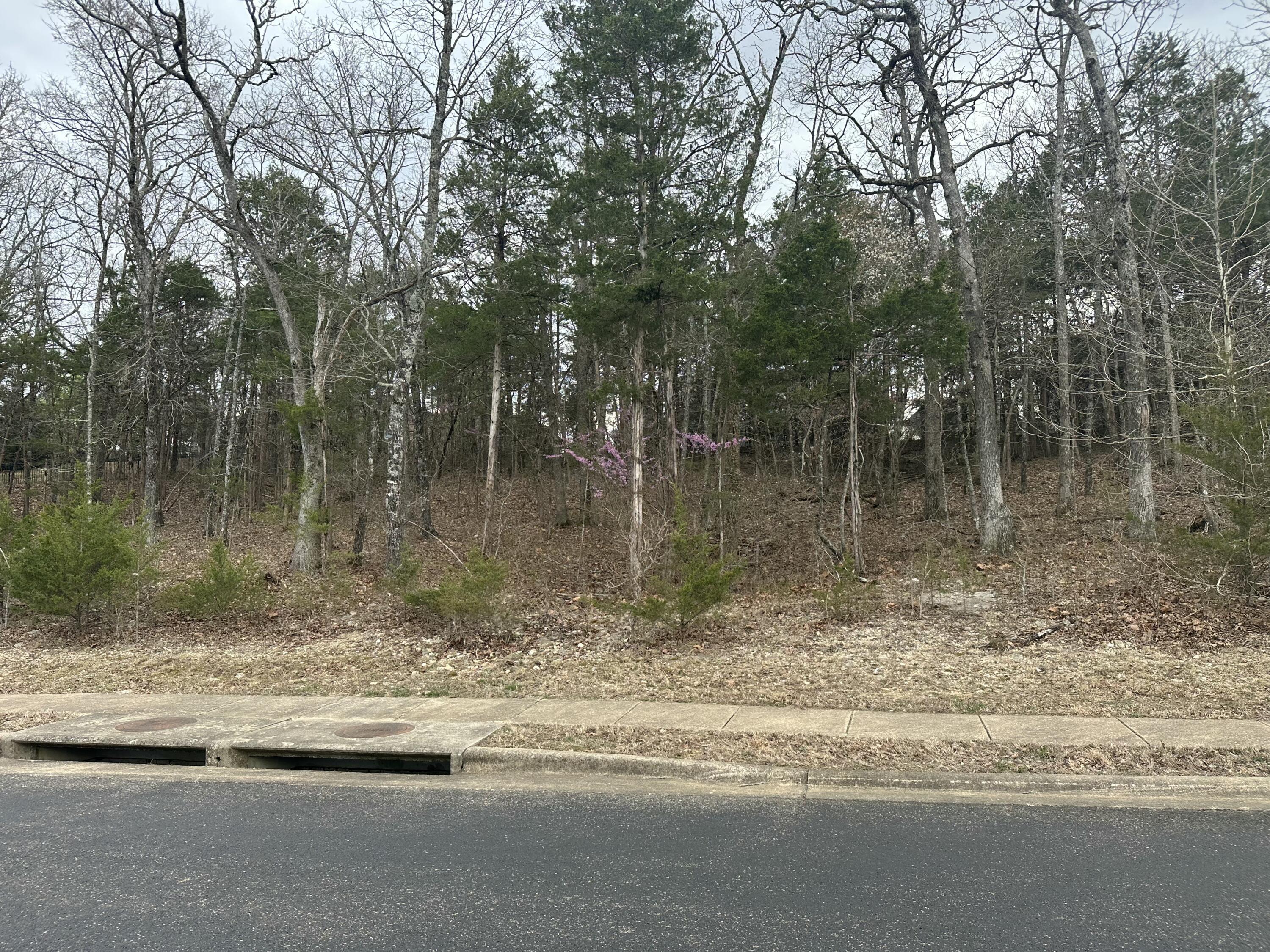 Lot 63 Royal Dornoch Drive Property Photo 2
