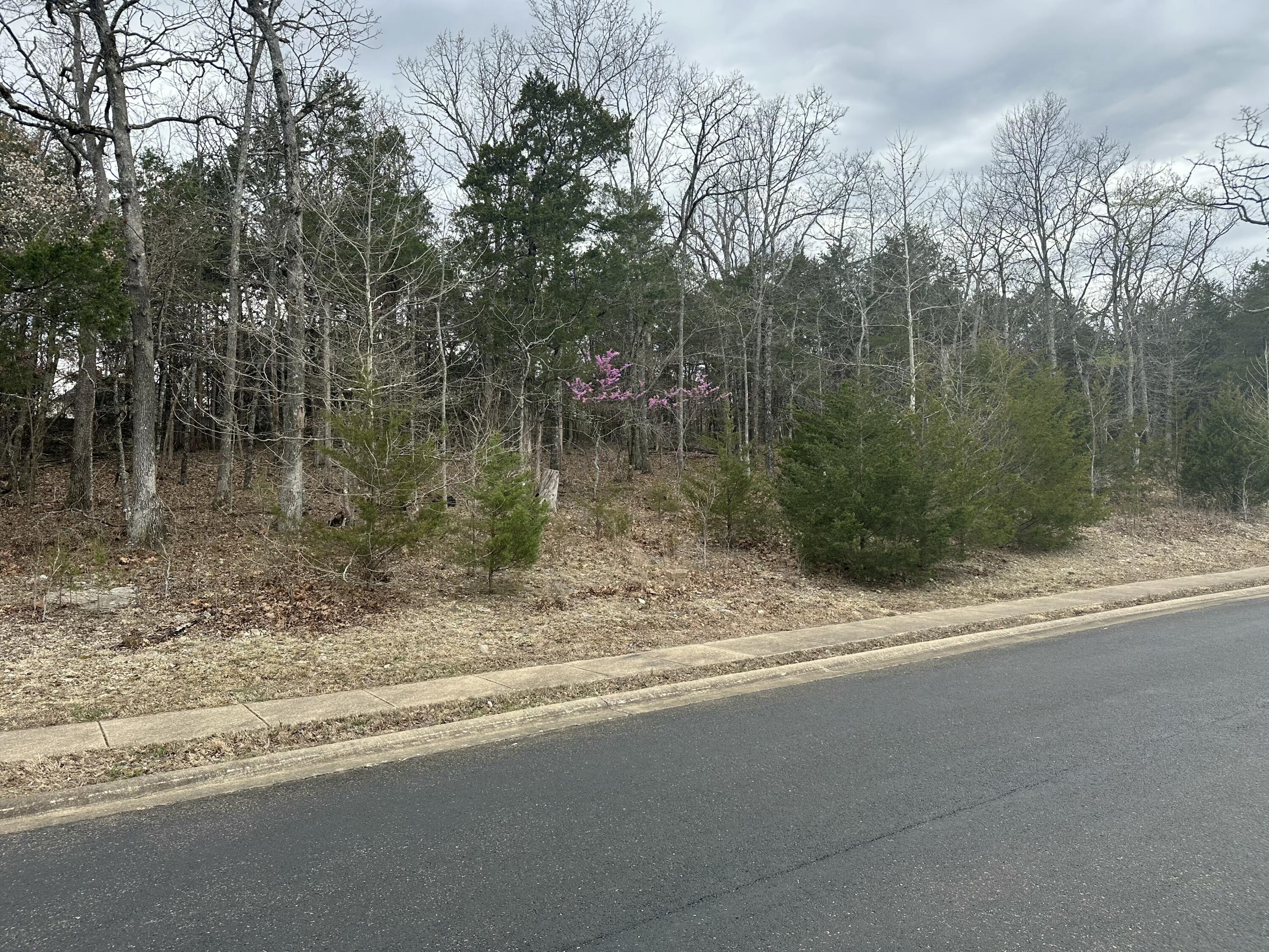 Lot 63 Royal Dornoch Drive Property Photo 3