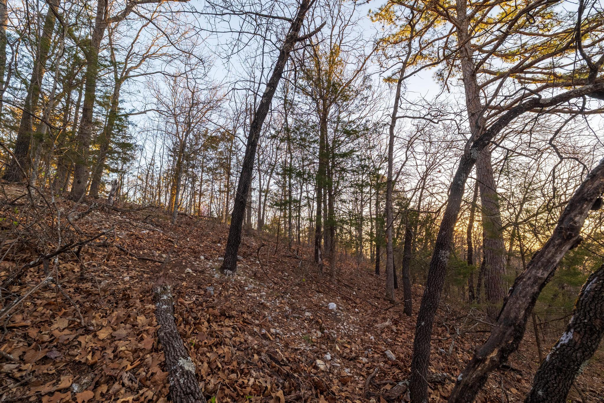0000 Mountain Estate Drive Property Photo 16