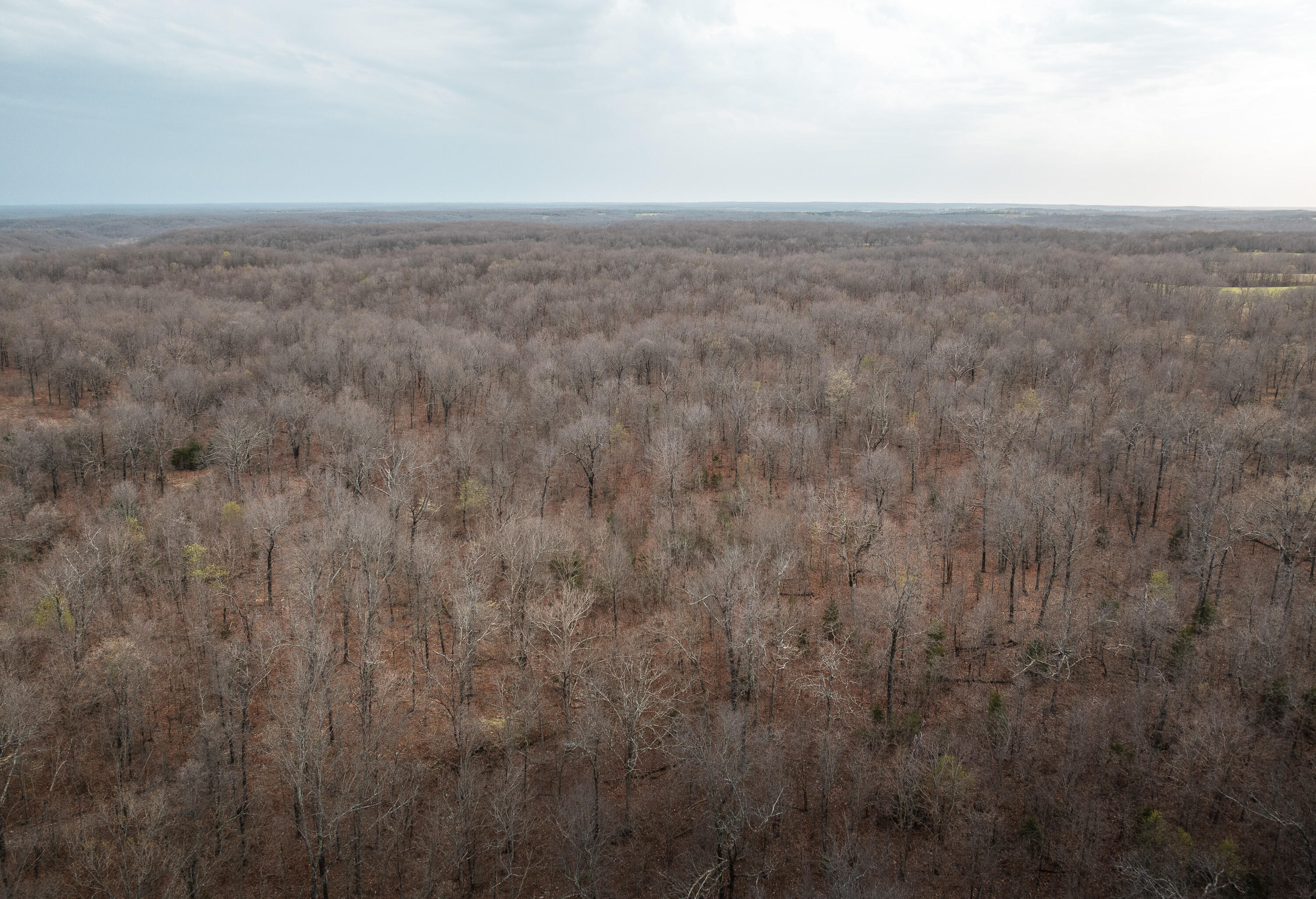 1610 Highway 64 Property Photo 41
