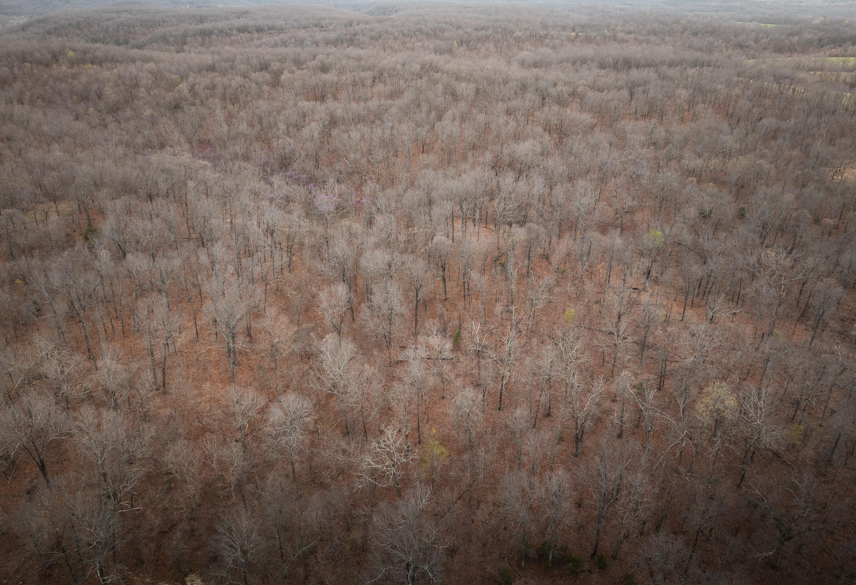 1610 Highway 64 Property Photo 42