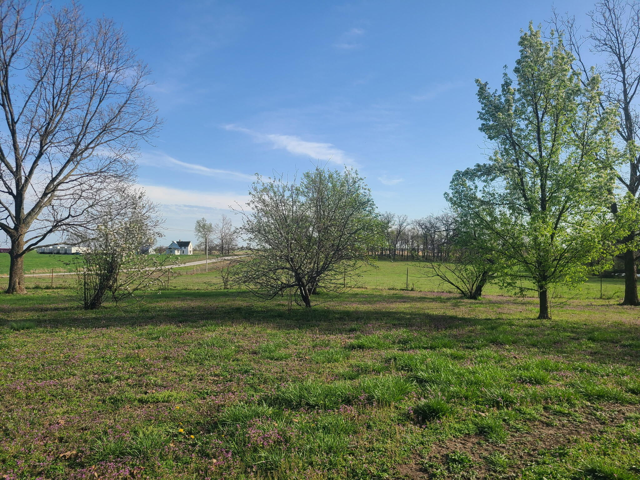 7059 Highway Bb Property Photo 6