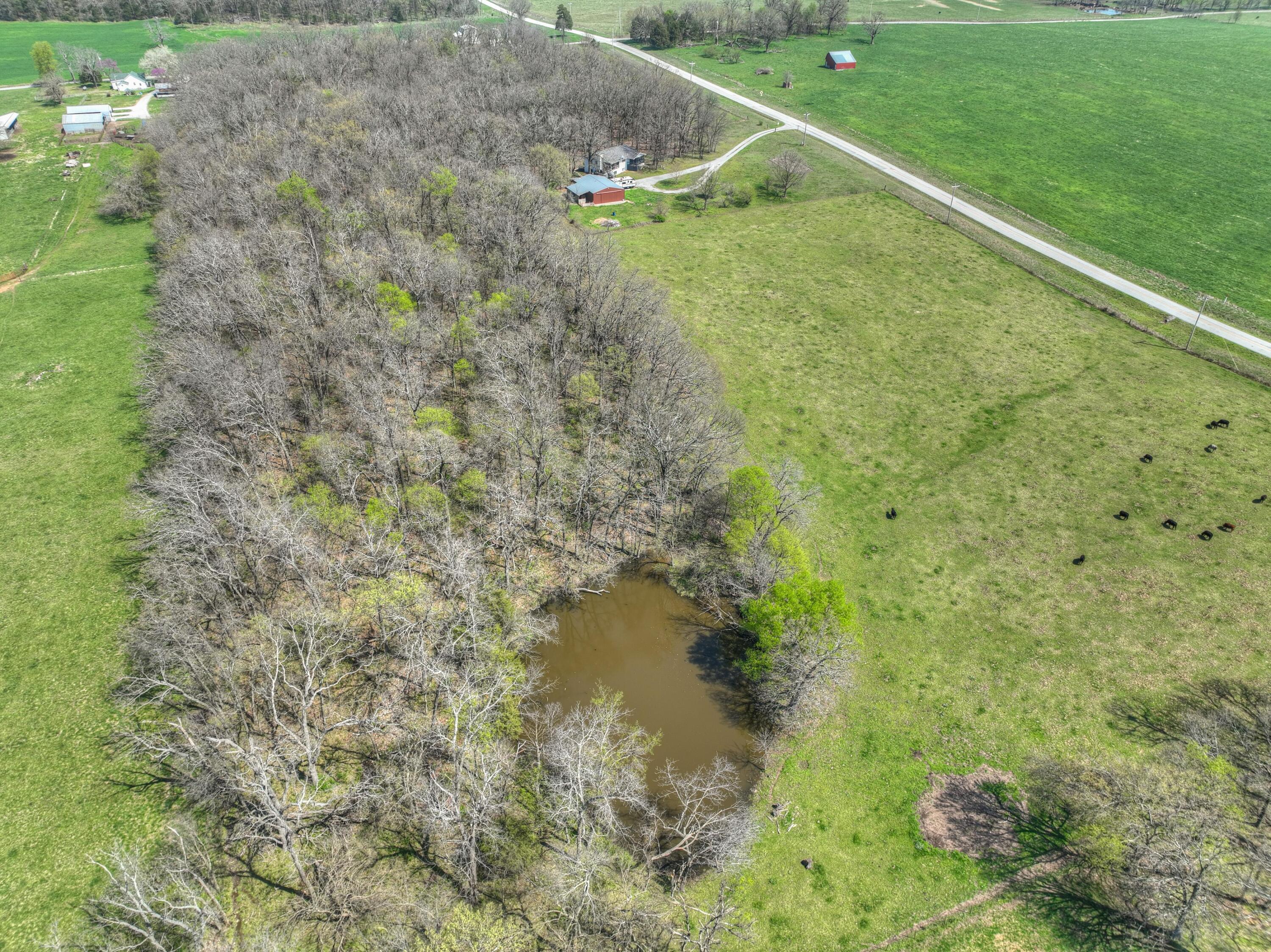 7059 Highway Bb Property Photo 48