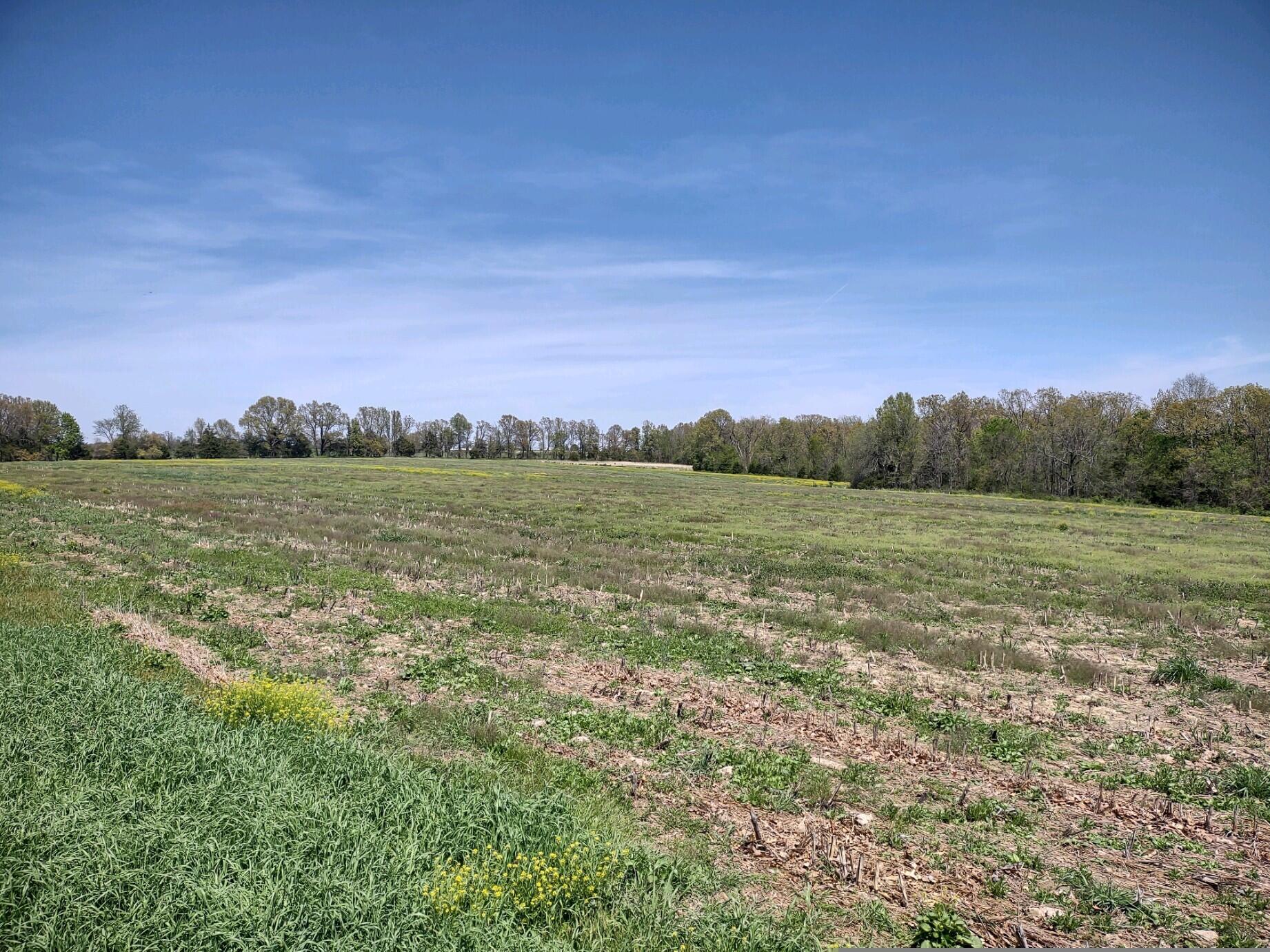 Tbd Wiseman Road Property Photo 1