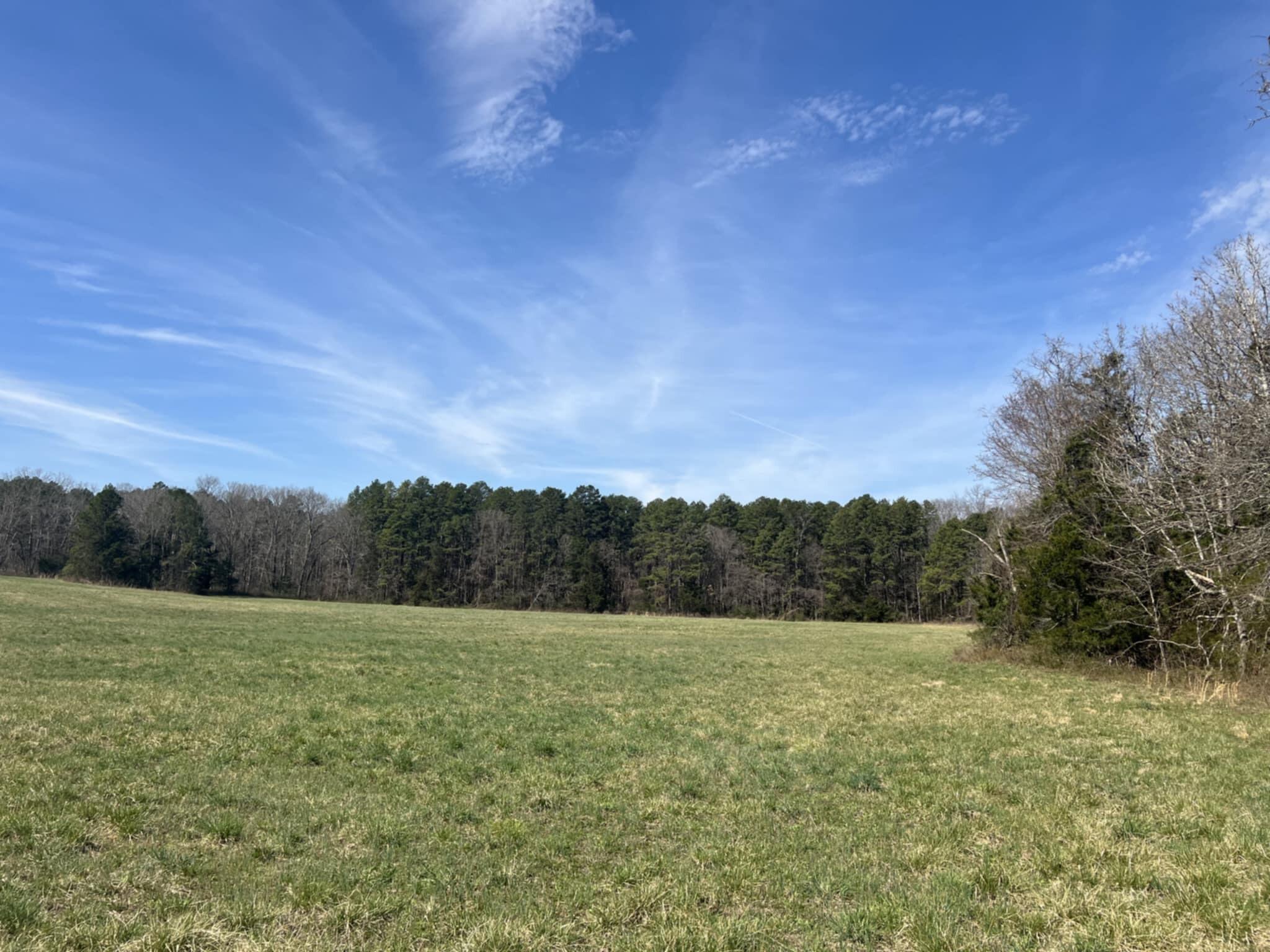14953 County Road 615 Property Photo 5