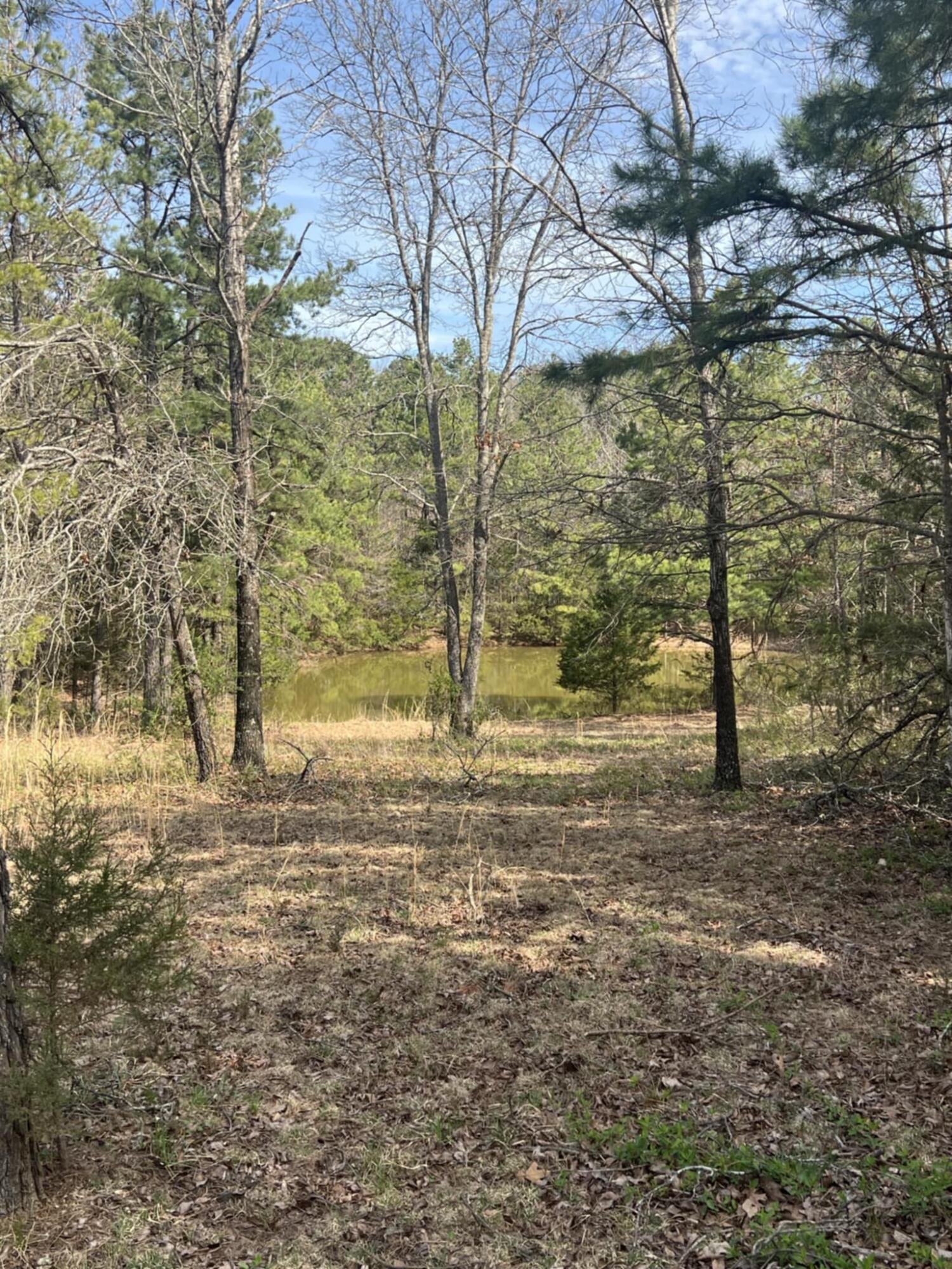 14953 County Road 615 Property Photo 14
