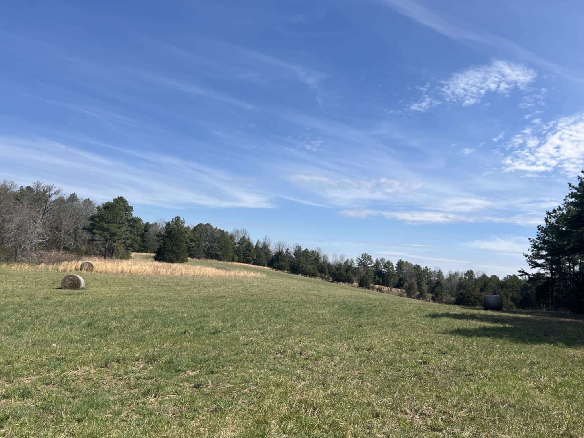 14953 County Road 615 Property Photo 18
