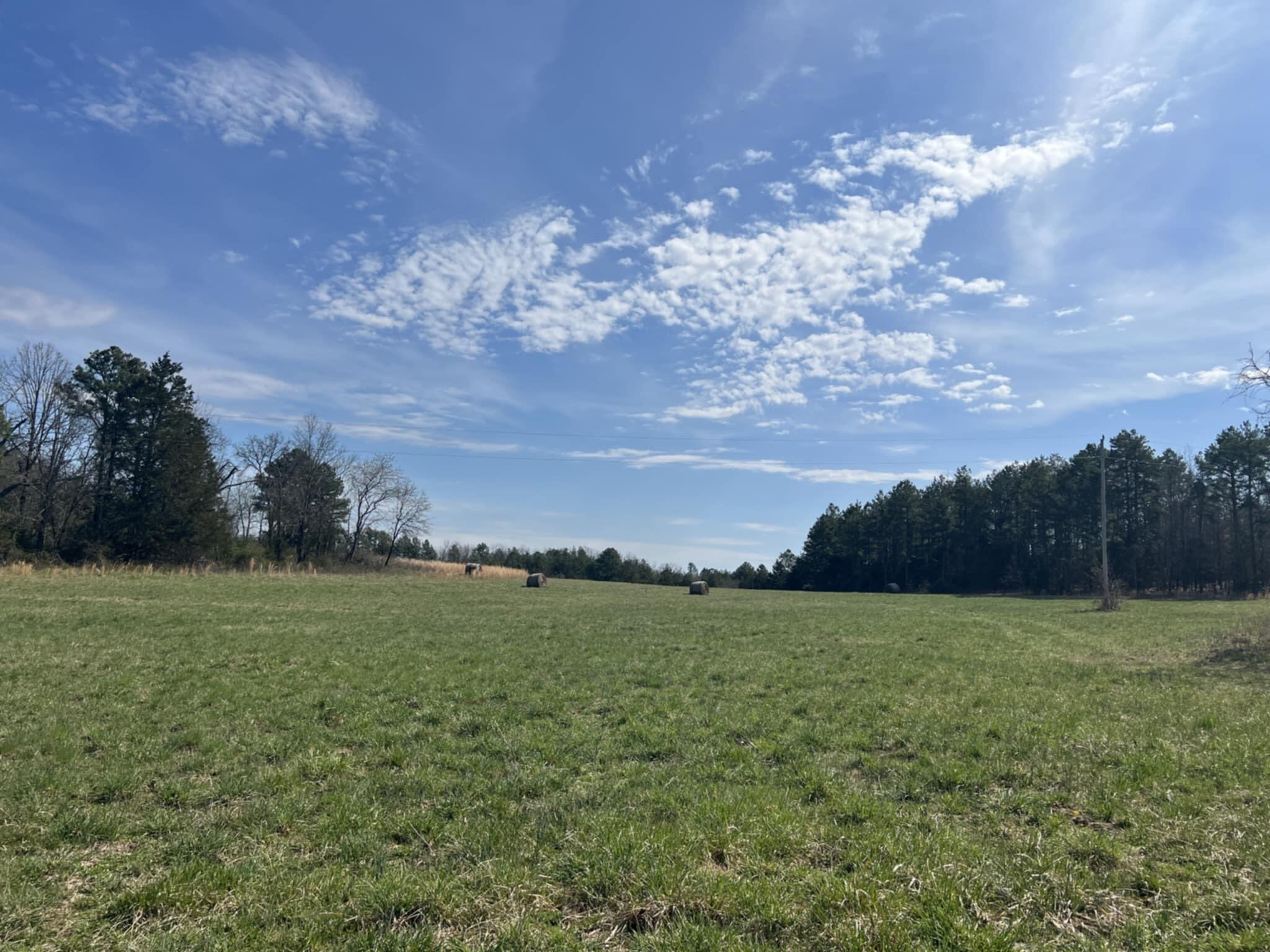 14953 County Road 615 Property Photo 20