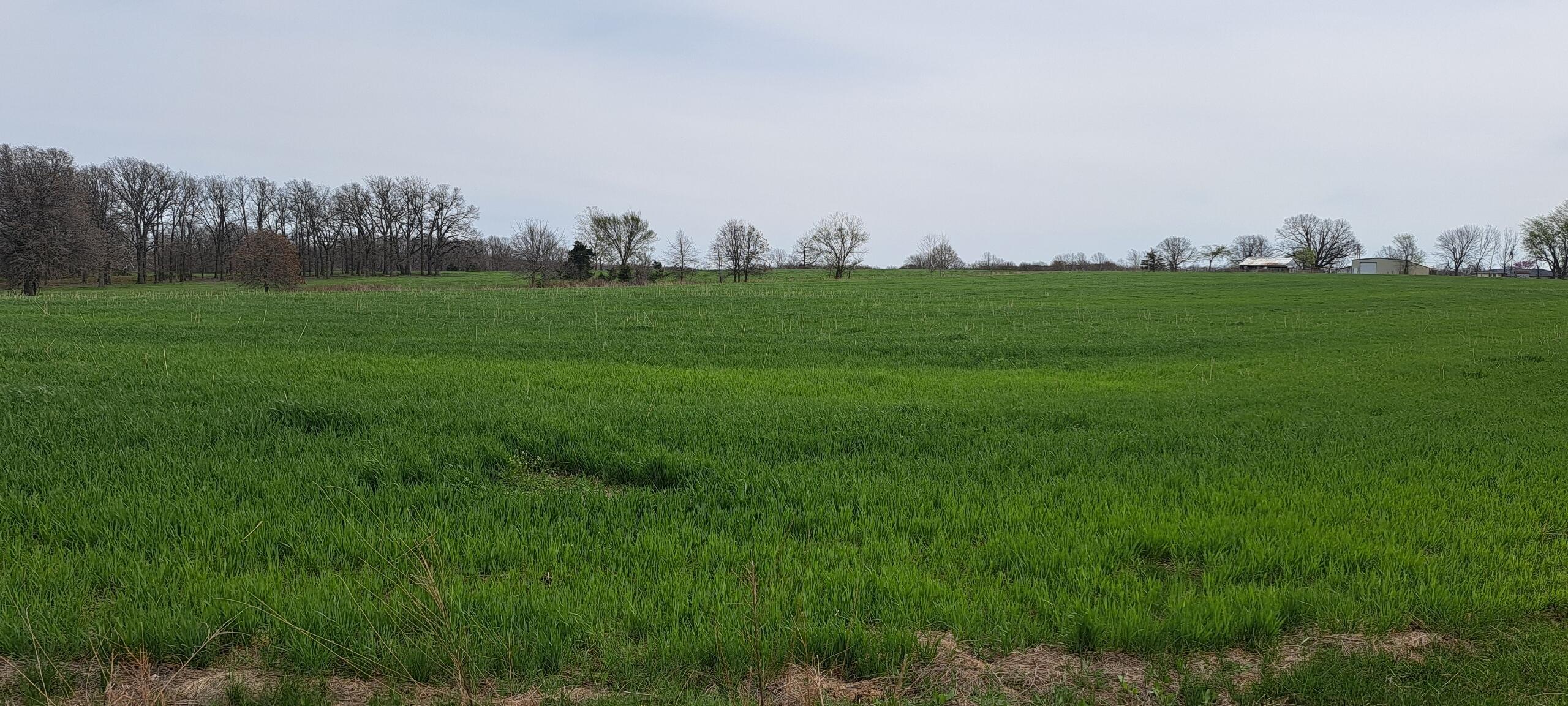 000 East Highway 32 Property Photo 9
