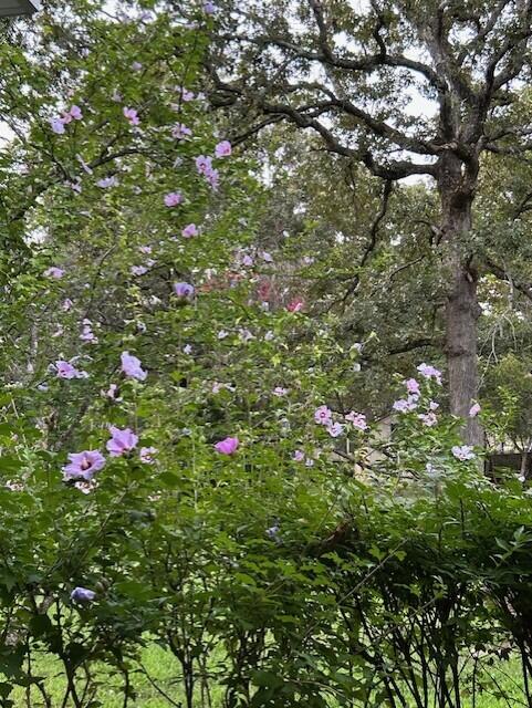 535 Delaware Road Property Photo 12