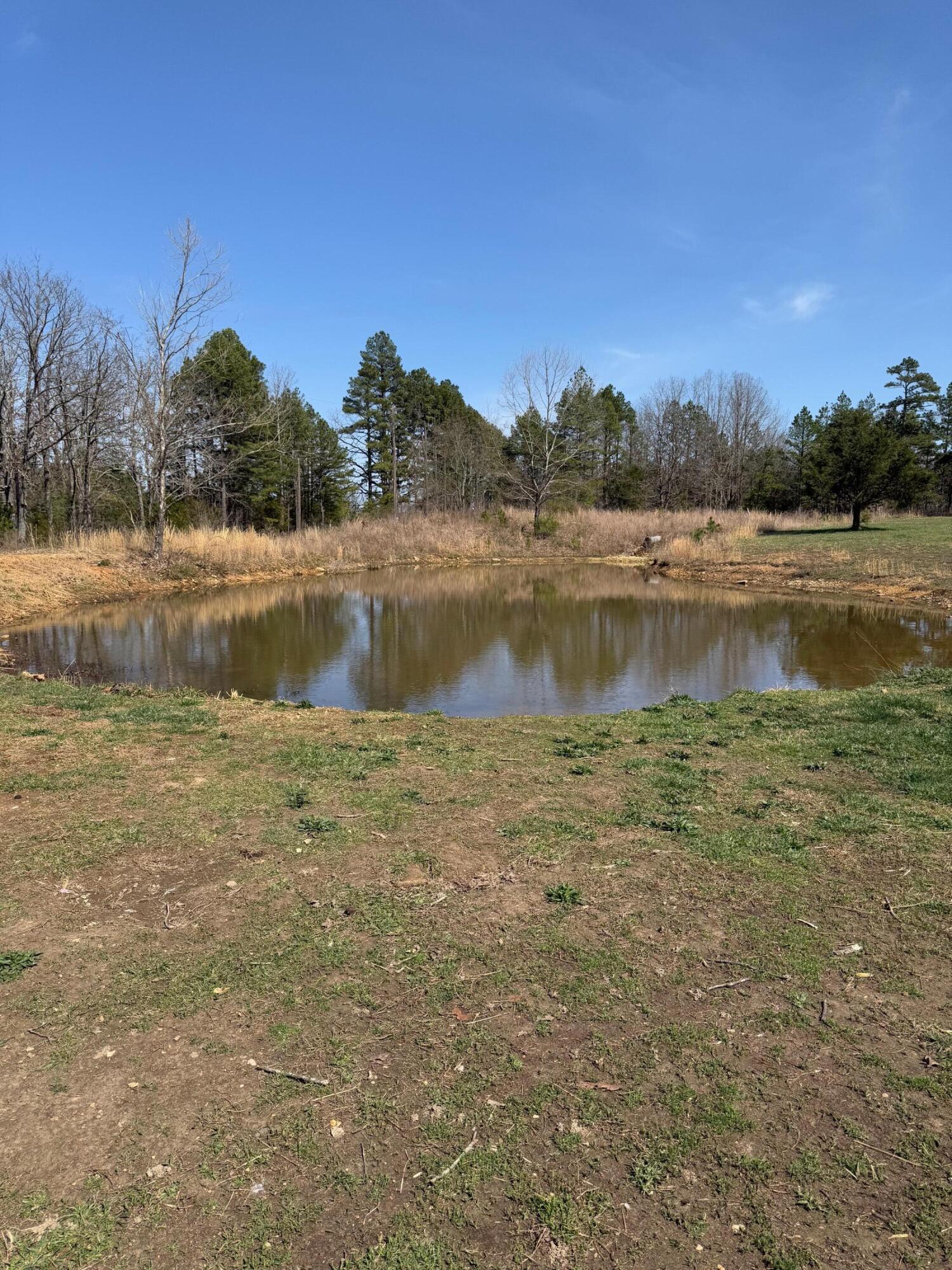 3942 Goggin Lane Property Photo 27