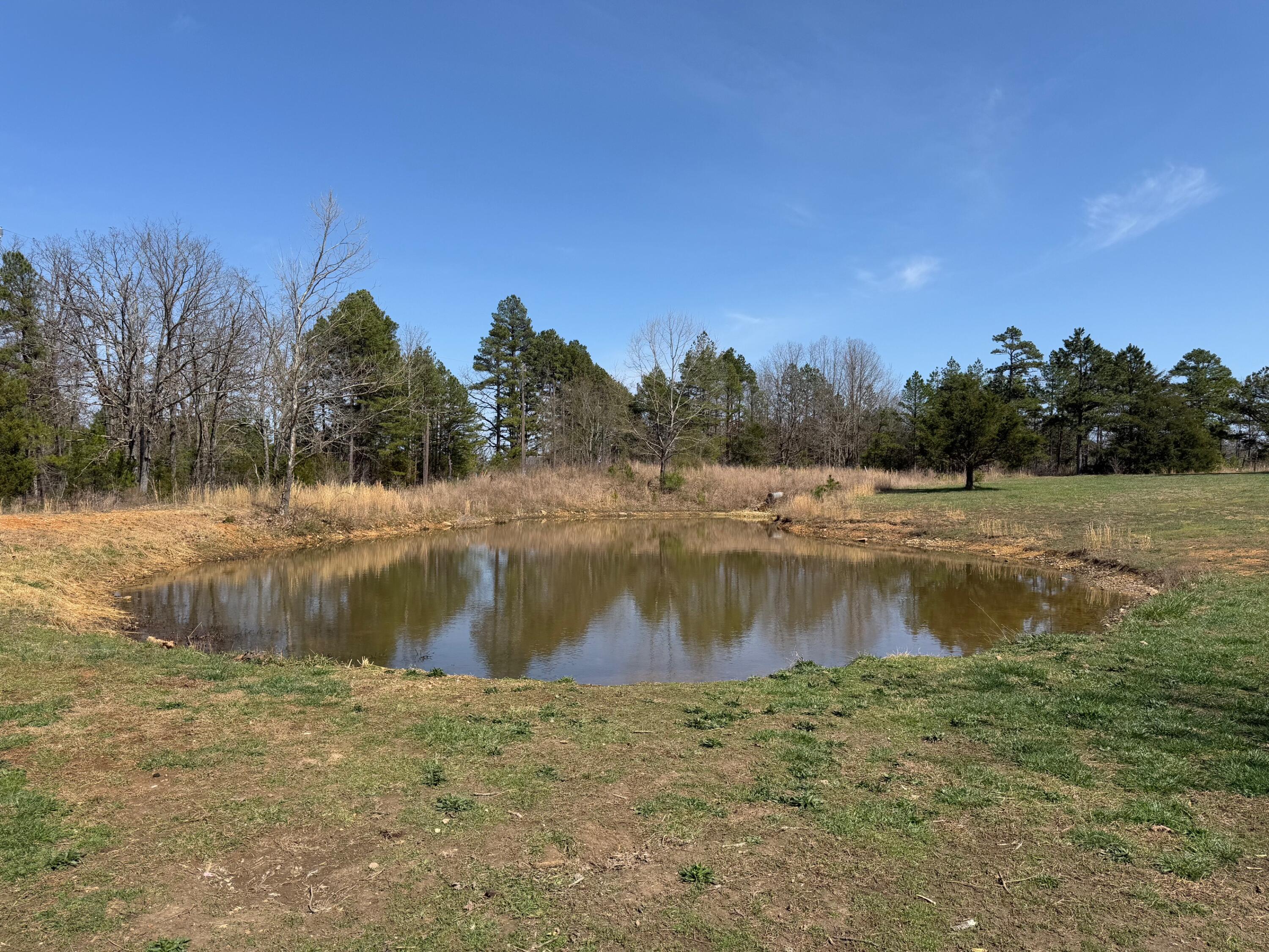 3942 Goggin Lane Property Photo 28
