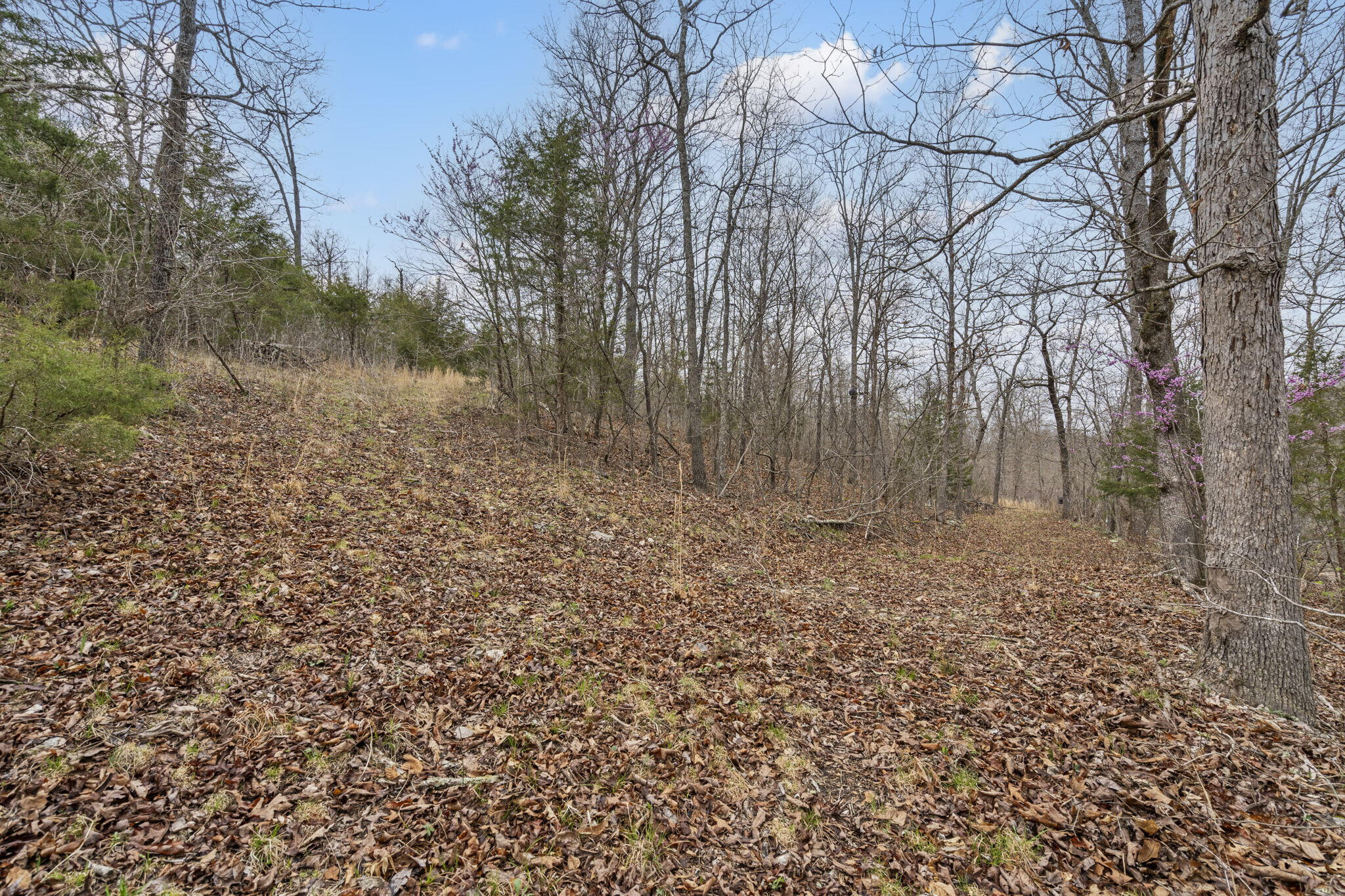 0 Lot 6 Scenic Heights Property Photo 2