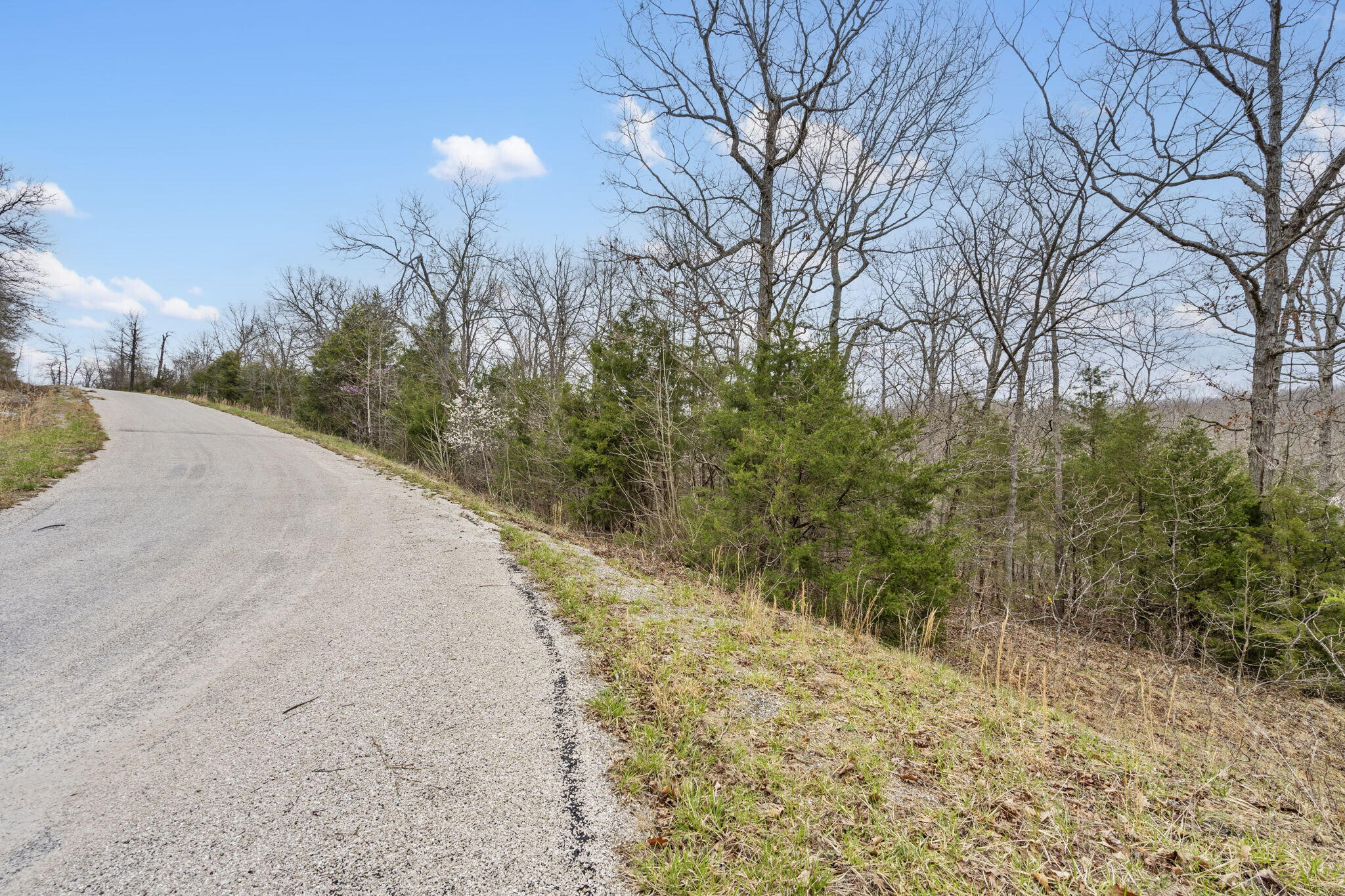 0 Lot 6 Scenic Heights Property Photo 4