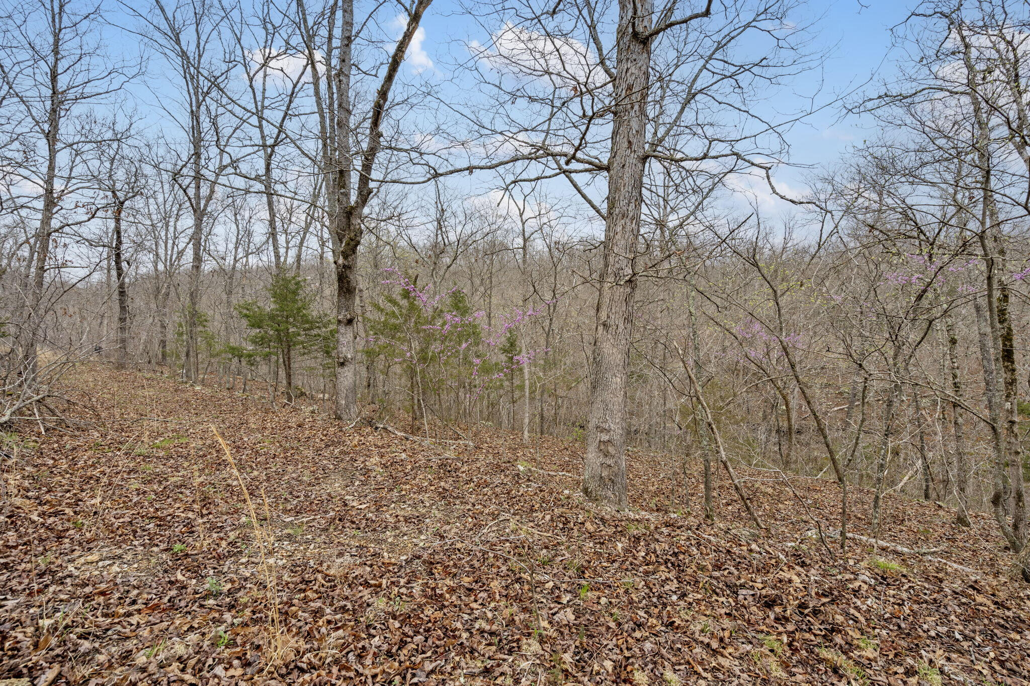 0 Lot 6 Scenic Heights Property Photo 6