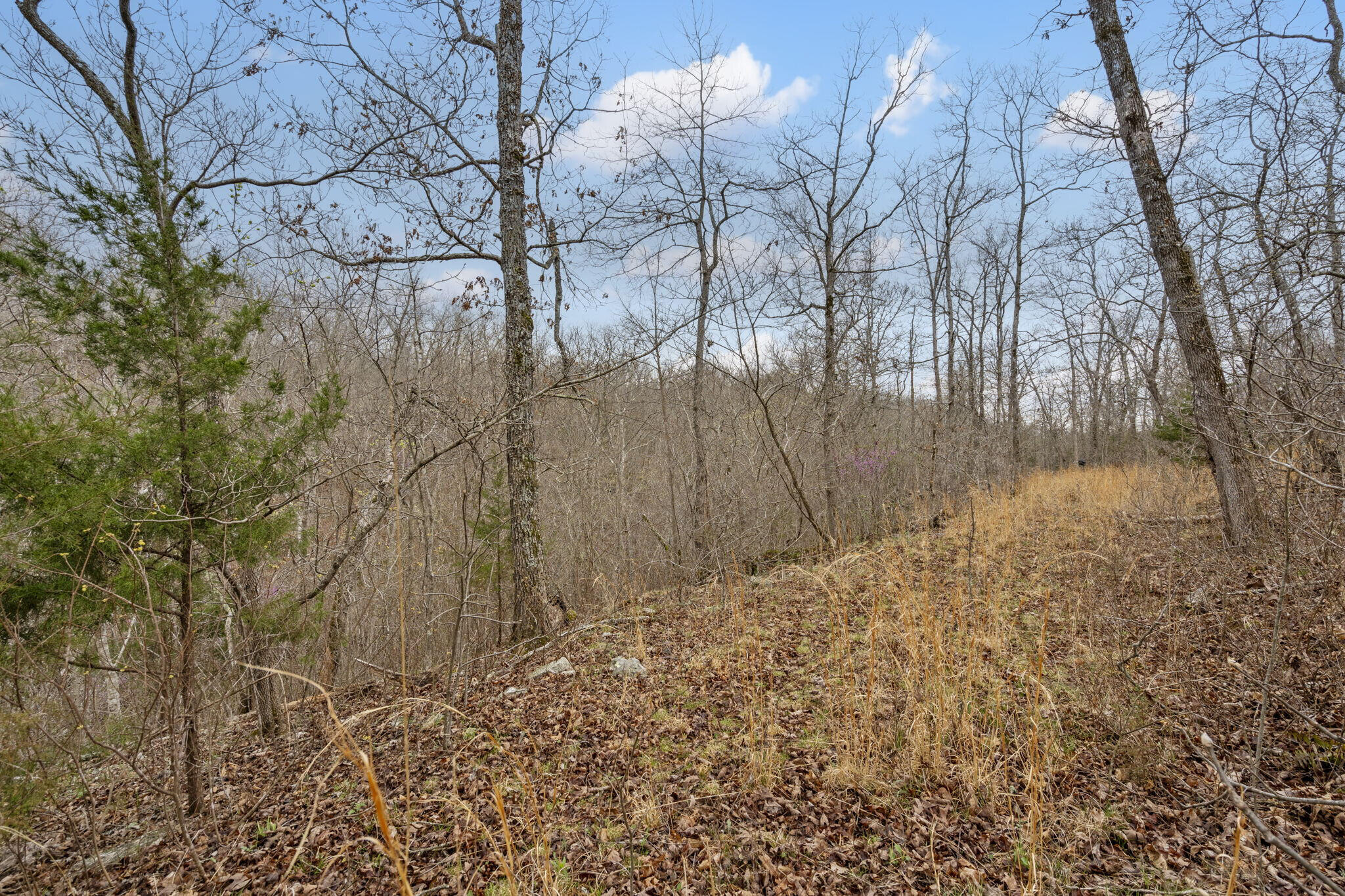 0 Lot 6 Scenic Heights Property Photo 7