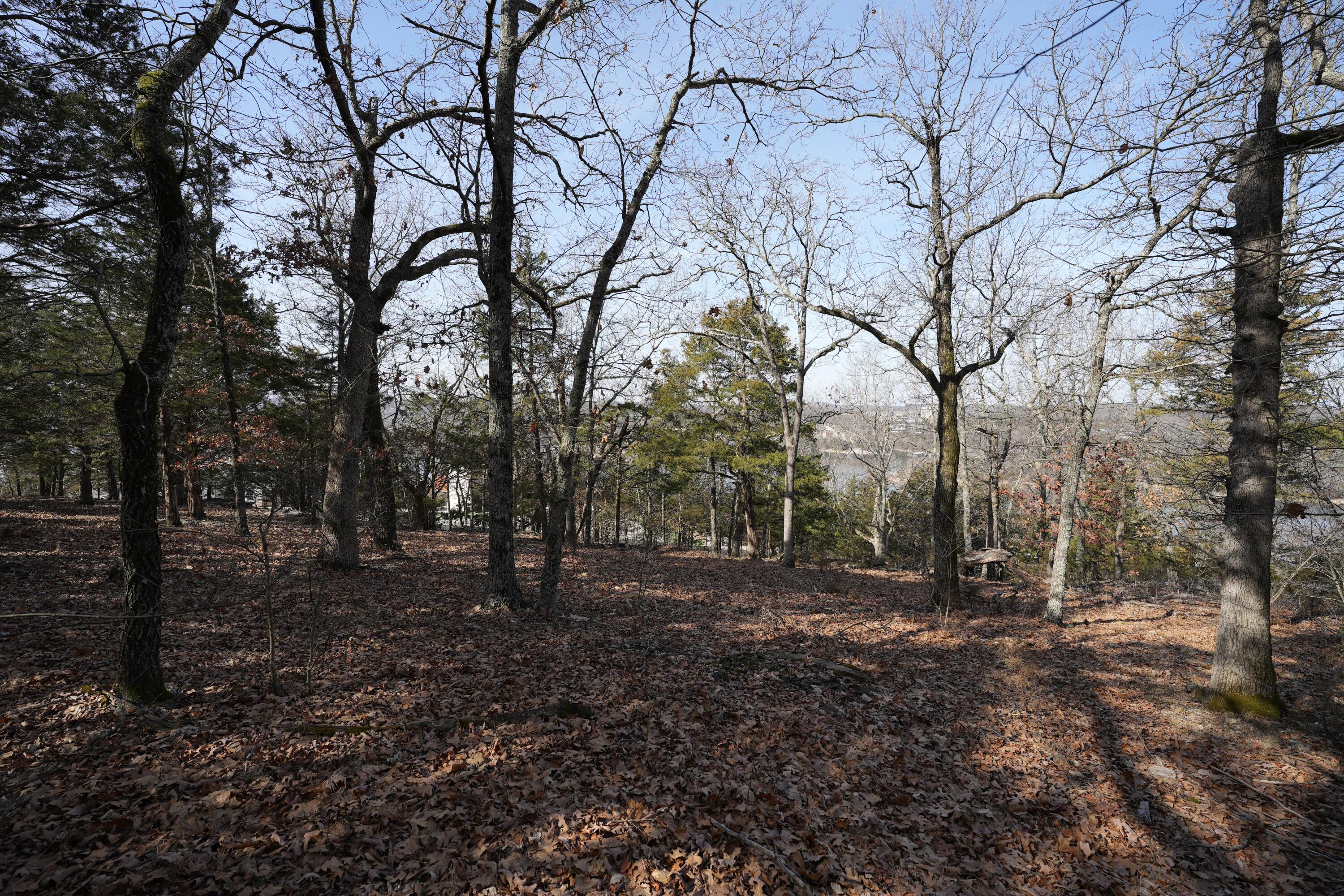 000 End Of Trail Drive Property Photo 6