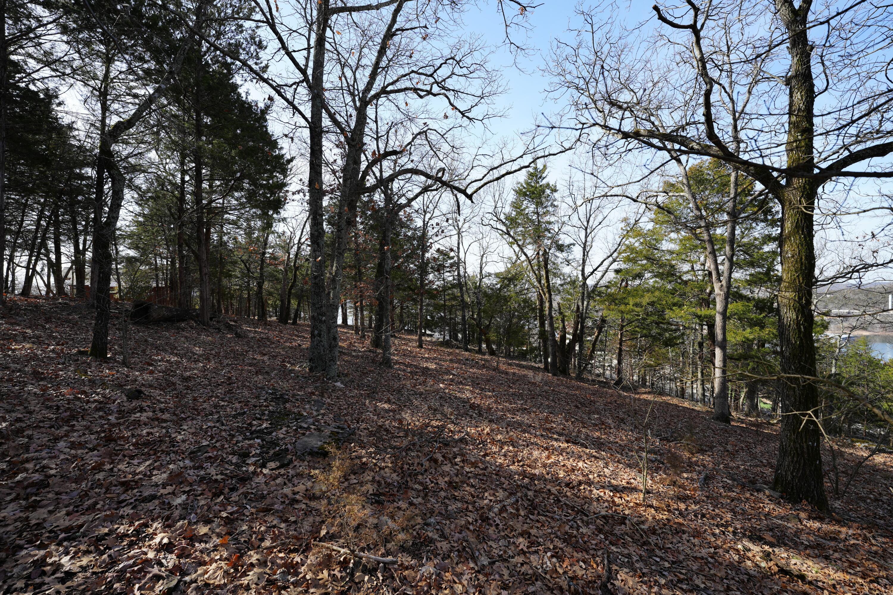 000 End Of Trail Drive Property Photo 13