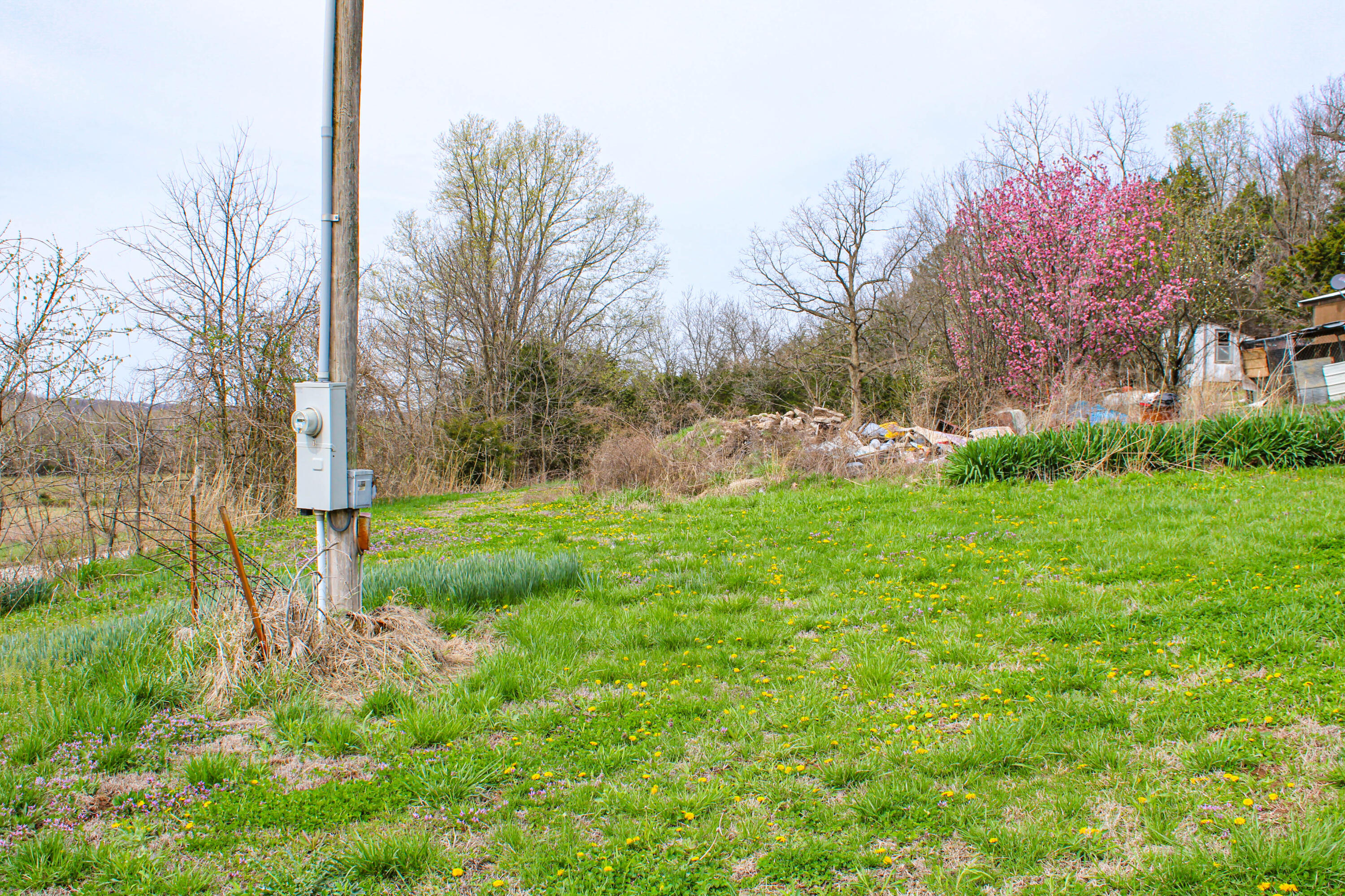 11024 Southeast 400 Road Property Photo 3