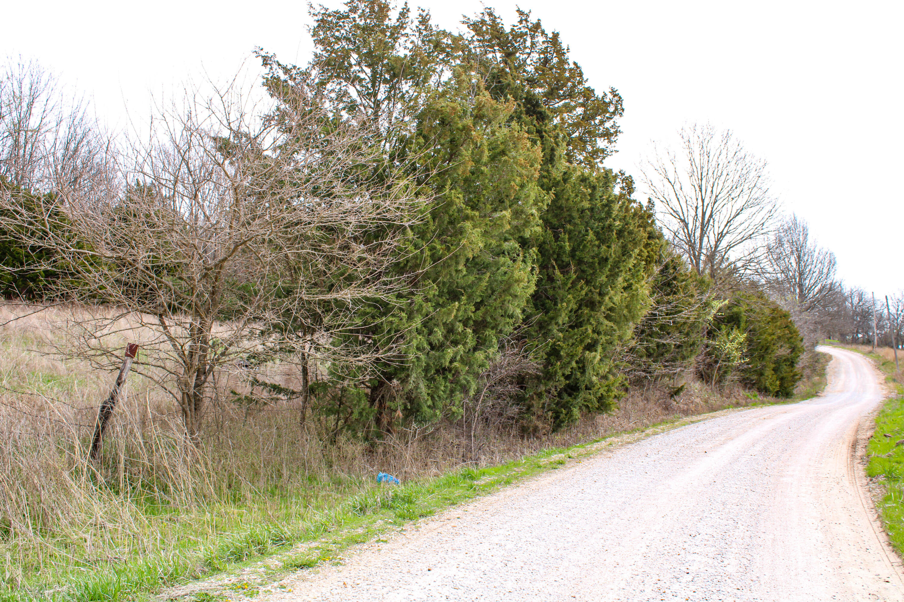 11024 Southeast 400 Road Property Photo 4