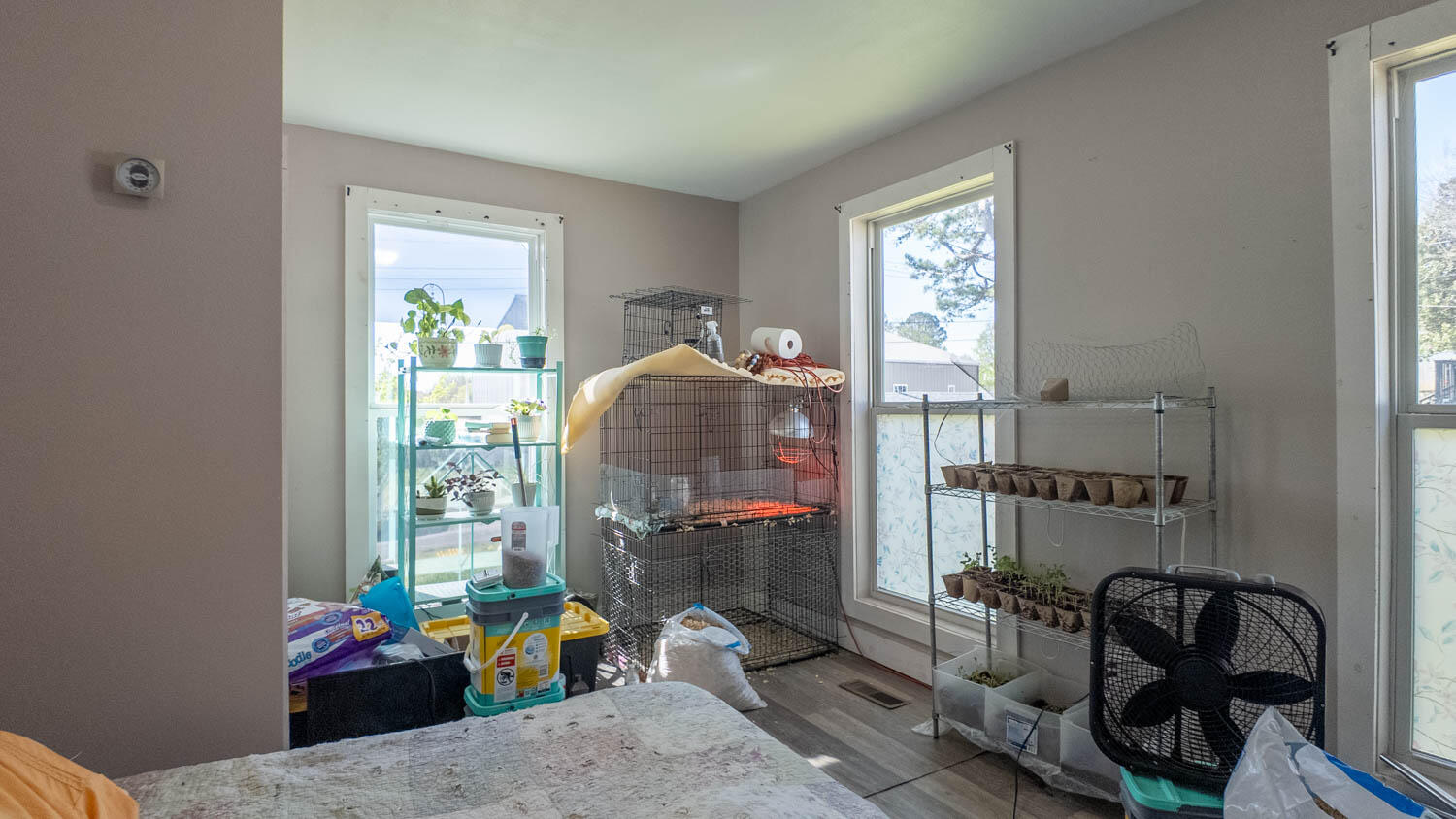 213 Arch Property Photo 11