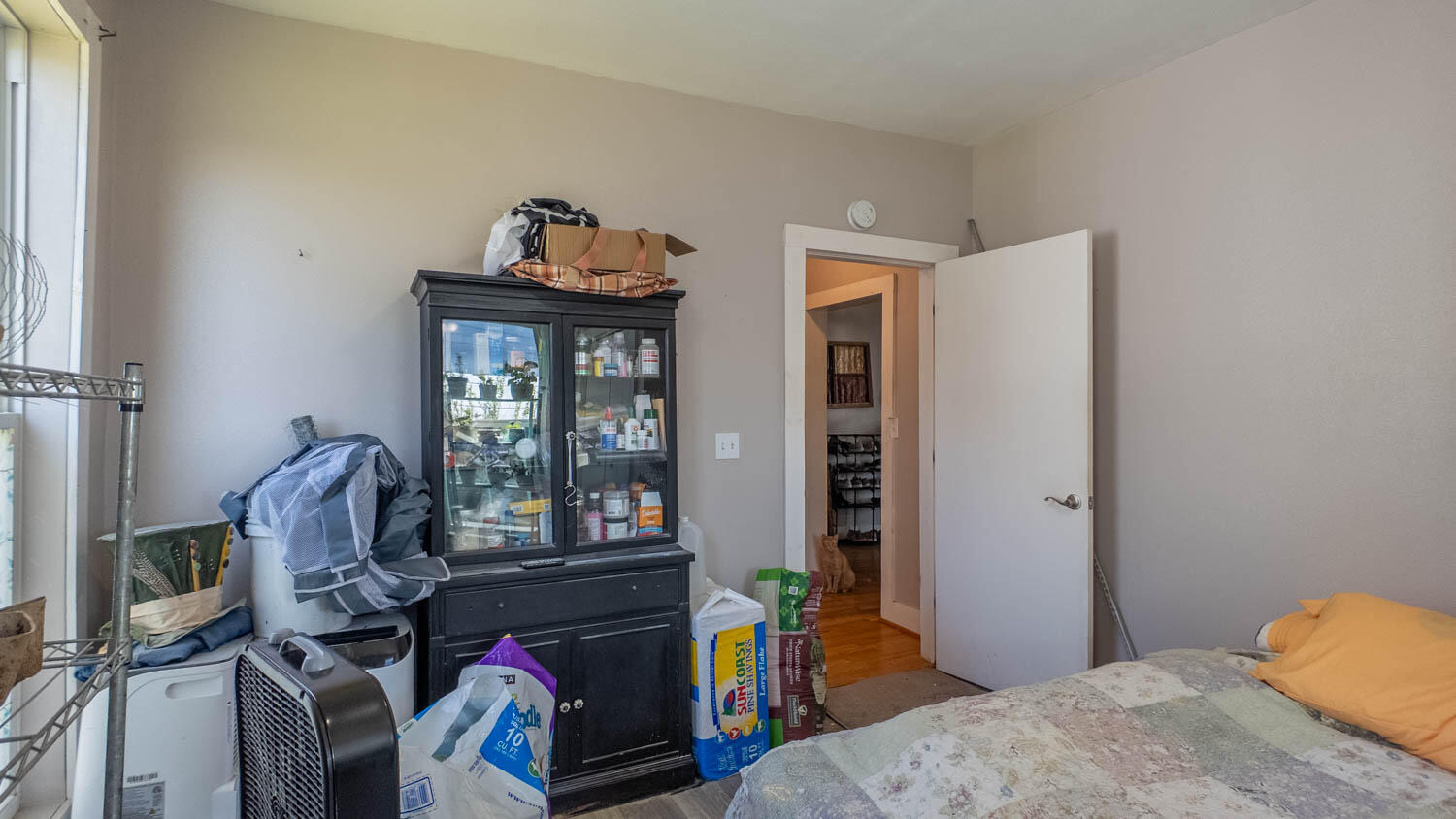 213 Arch Property Photo 12