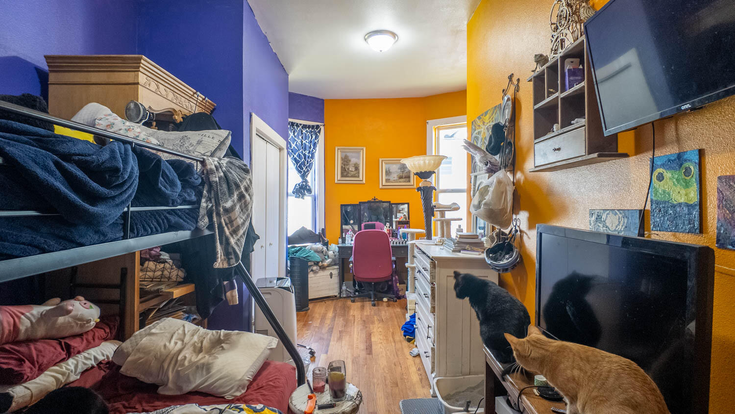 213 Arch Property Photo 25