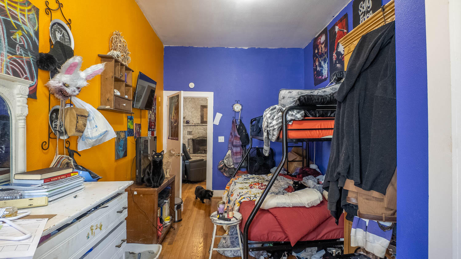 213 Arch Property Photo 26