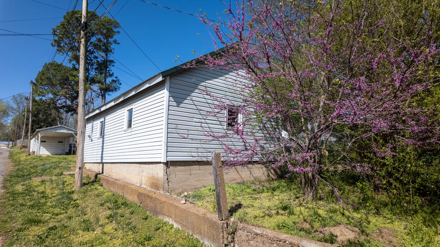 213 Arch Property Photo 28