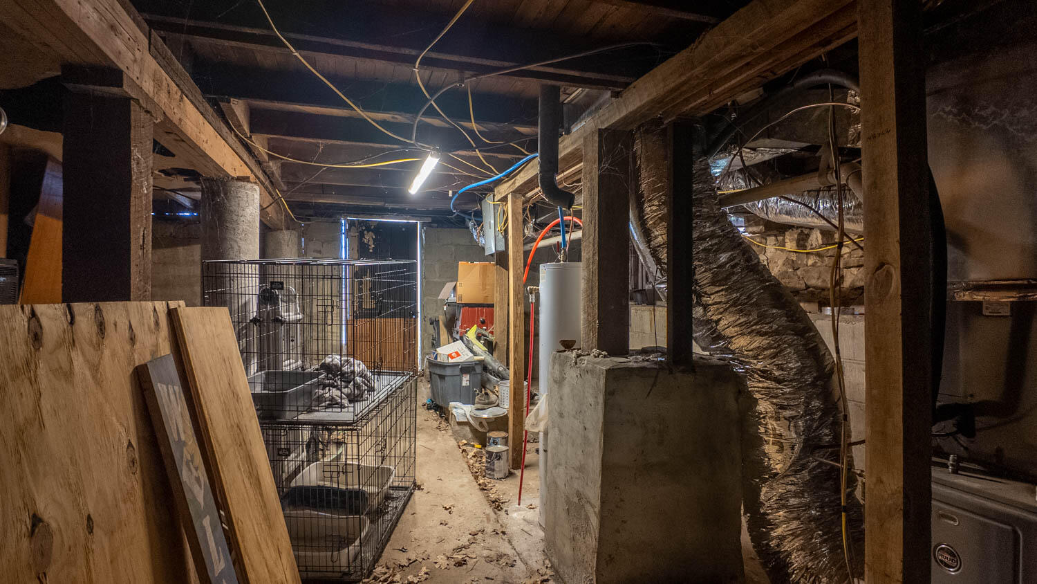 213 Arch Property Photo 33