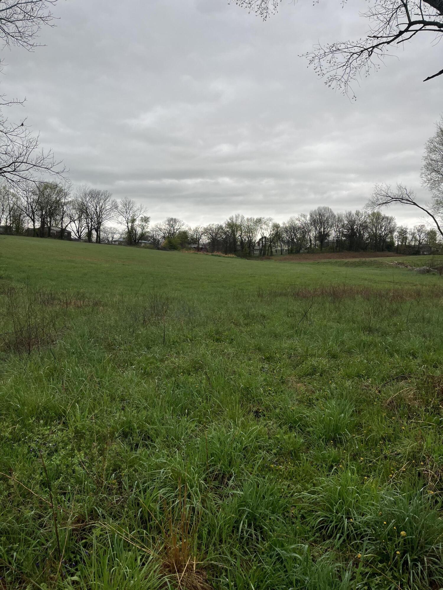 000 Luney Drive Property Photo 2