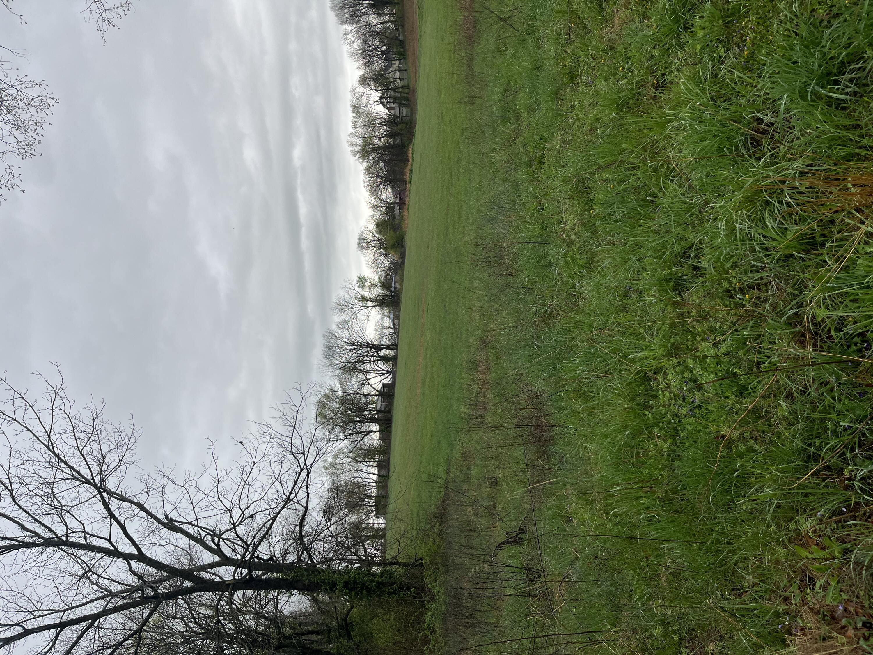 000 Luney Drive Property Photo 2