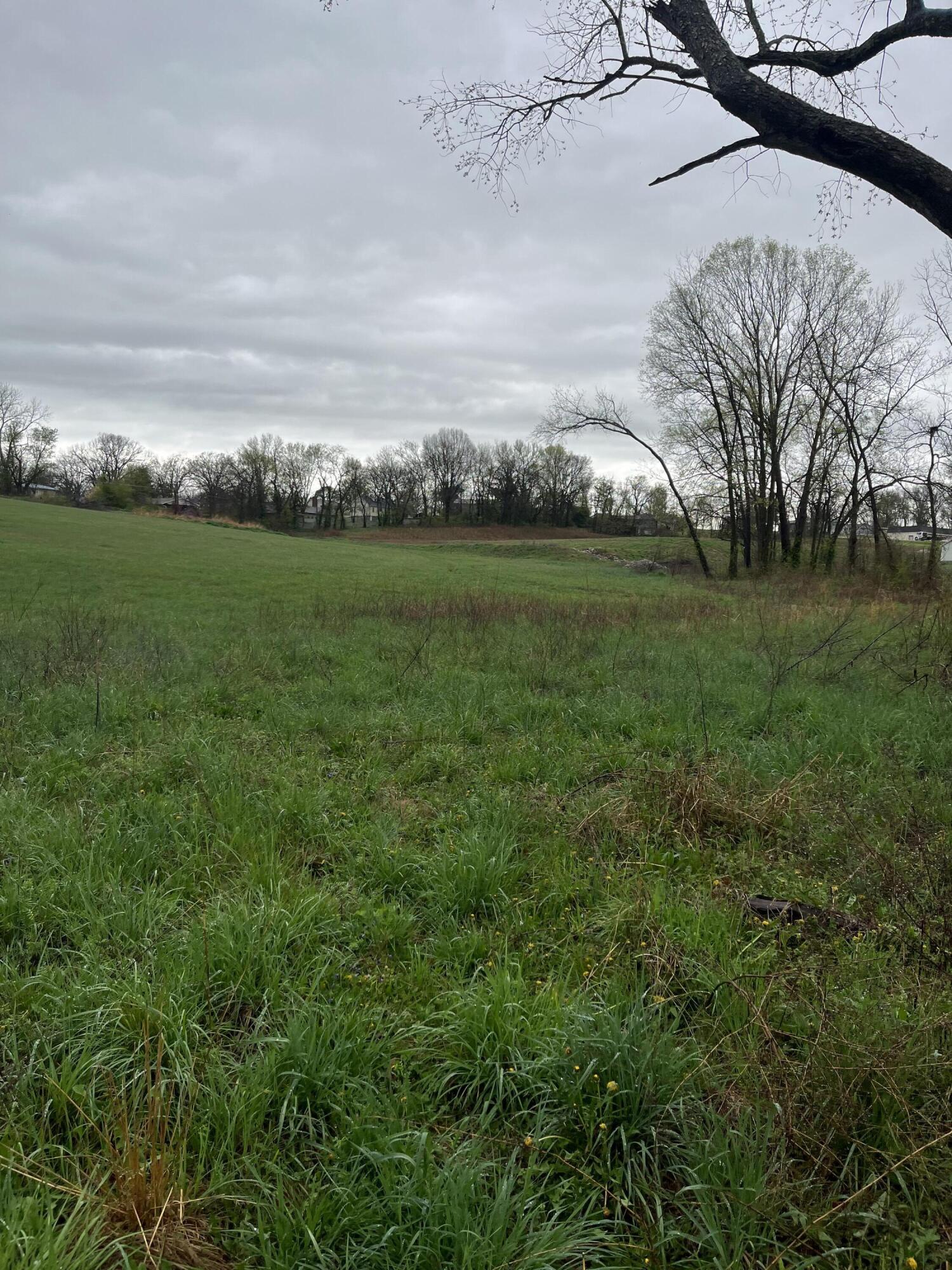 000 Luney Drive Property Photo 3