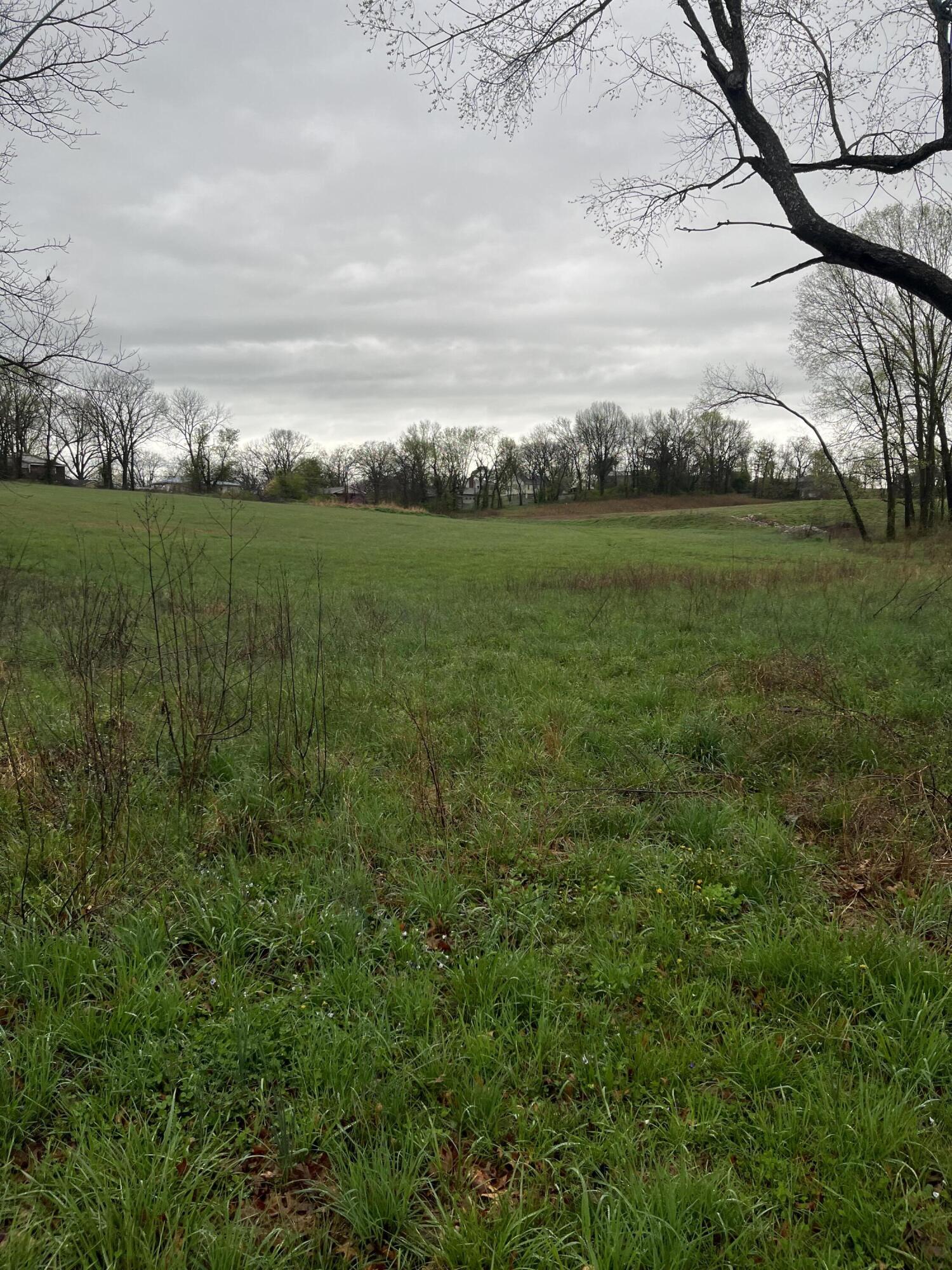 000 Luney Drive Property Photo 4