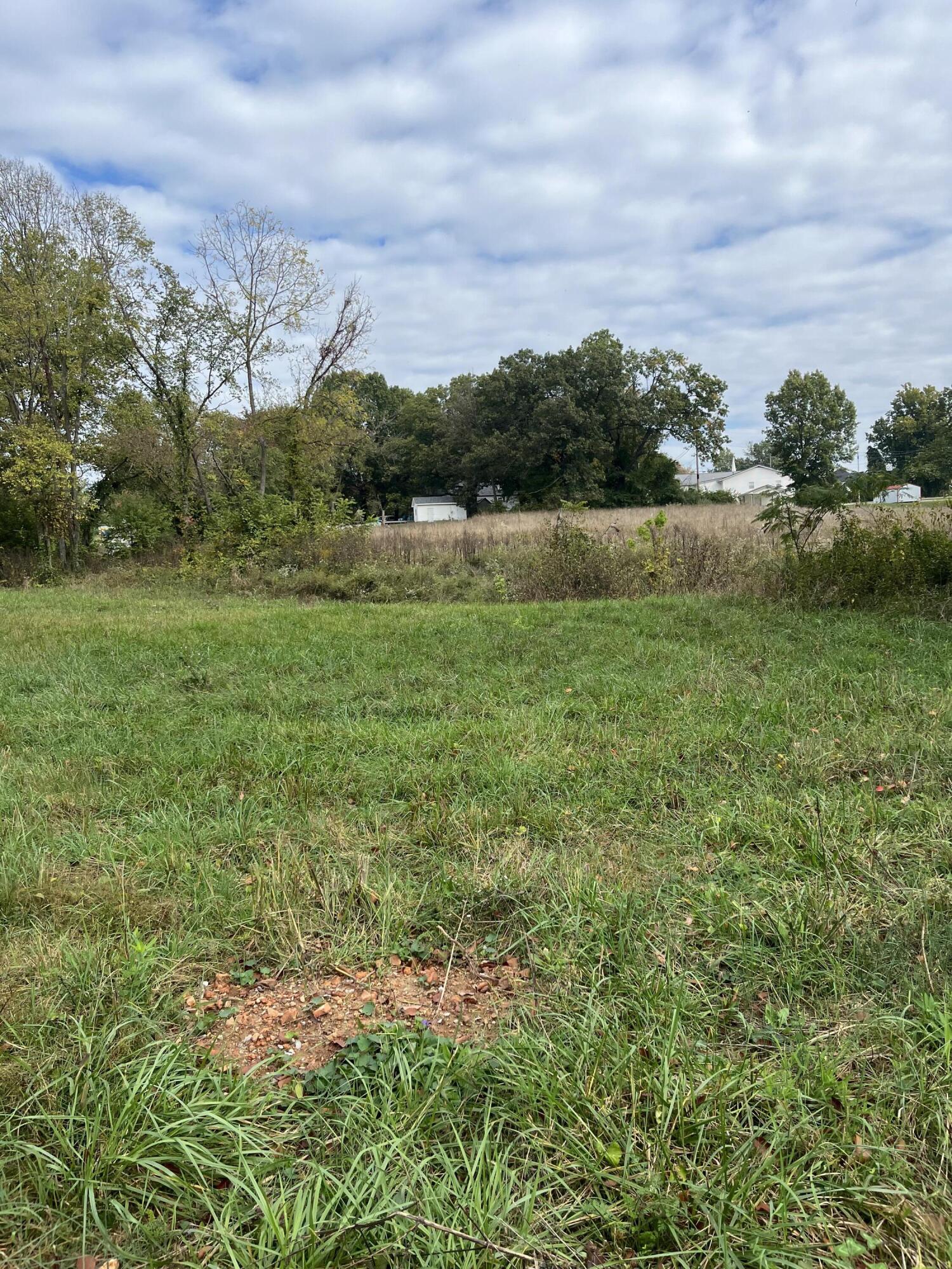 000 Luney Drive Property Photo 8