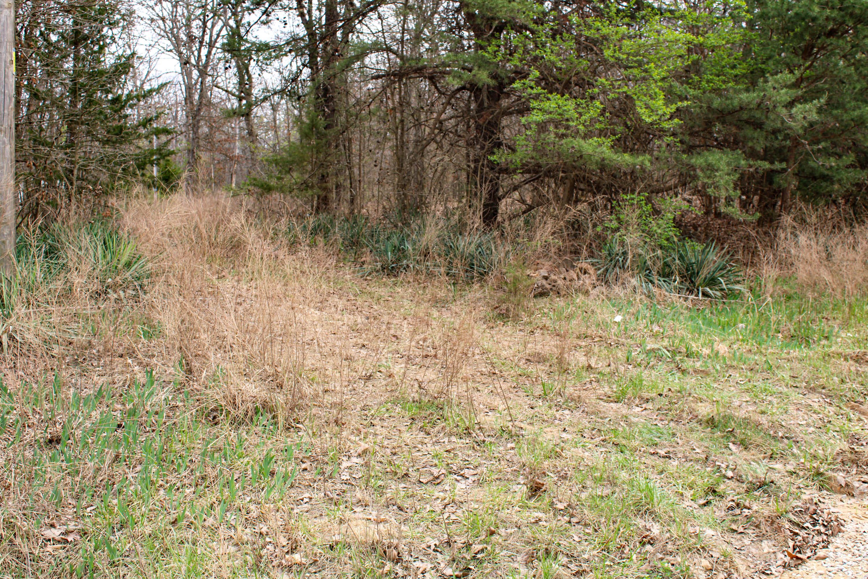 1580 Northeast 175 Road Property Photo