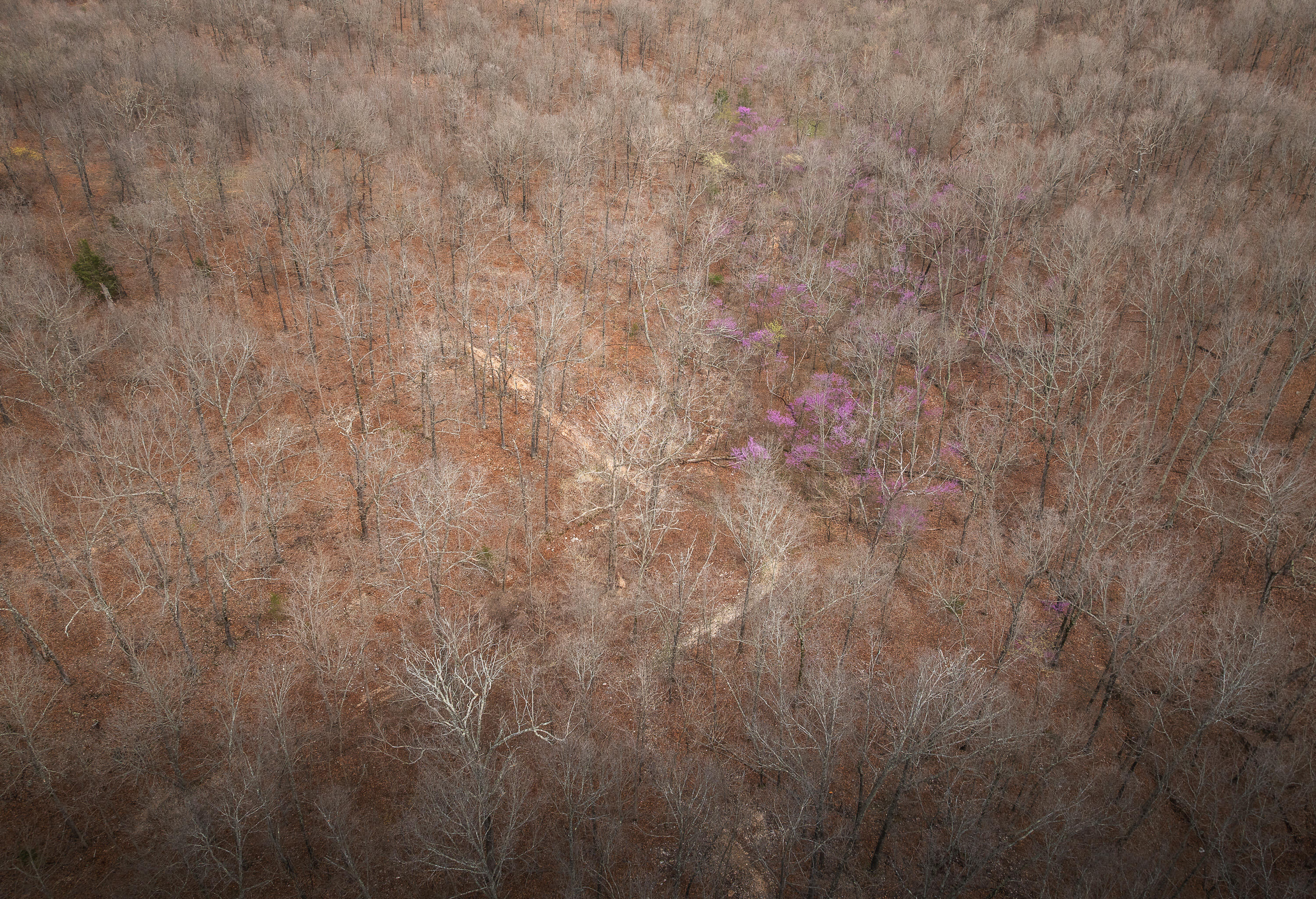 1608 Highway 64 Property Photo 69