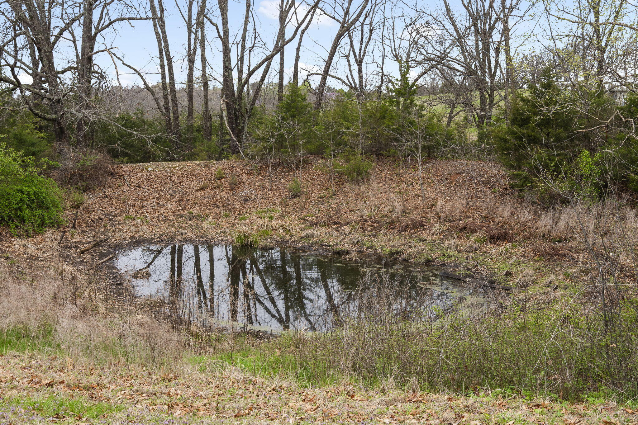 20 Hardin Hills Drive Property Photo 2