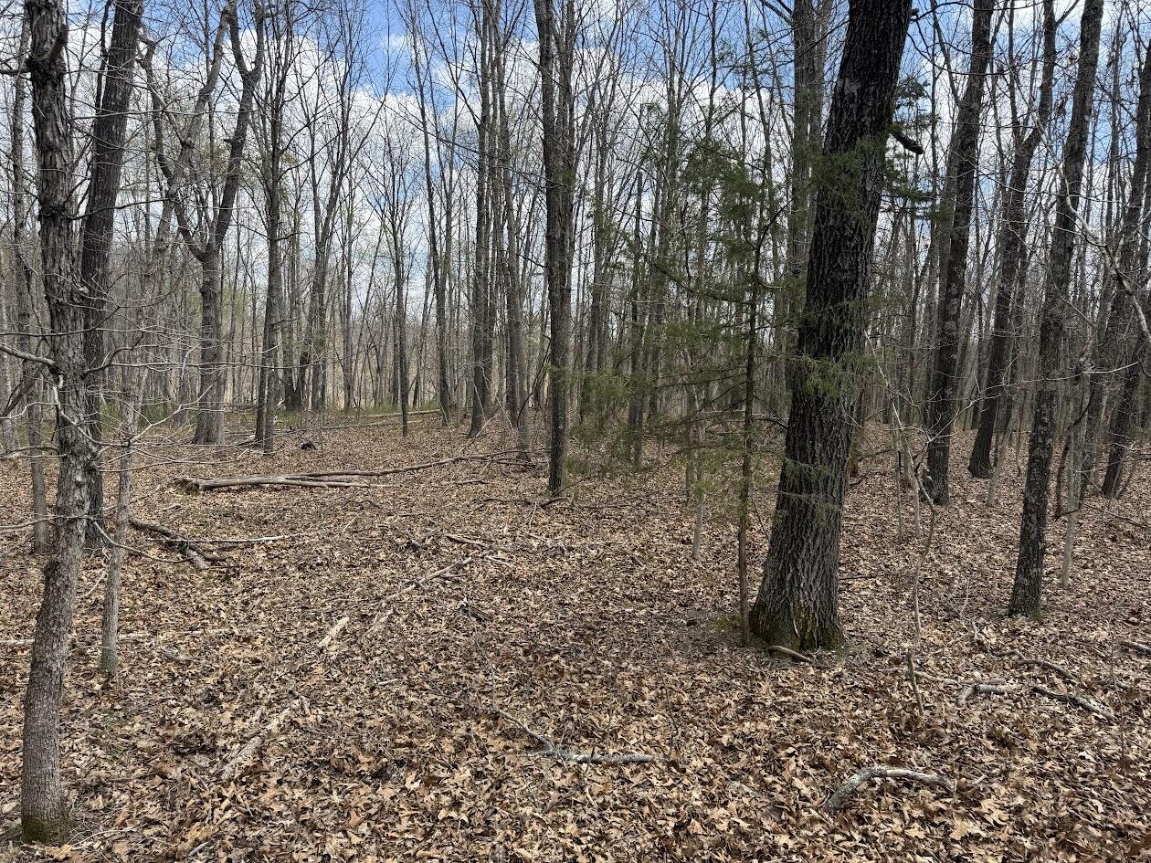 Tract Iii Lot B Property Photo 2