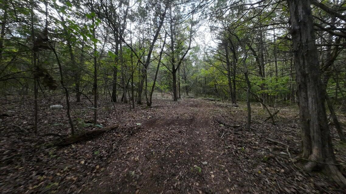 3147 State Highway Yy Property Photo 29