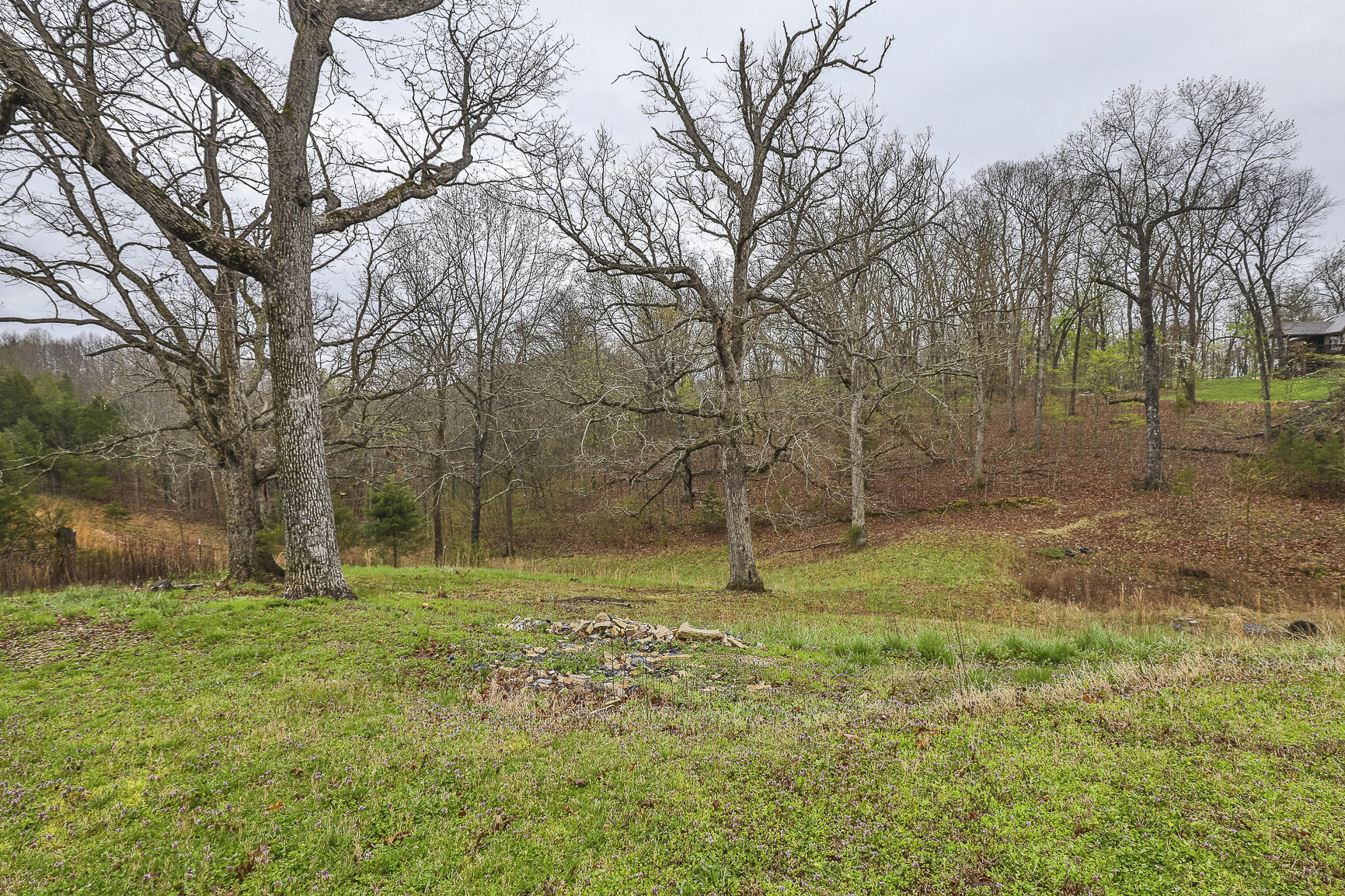 1020 State Hwy Bb Property Photo 28