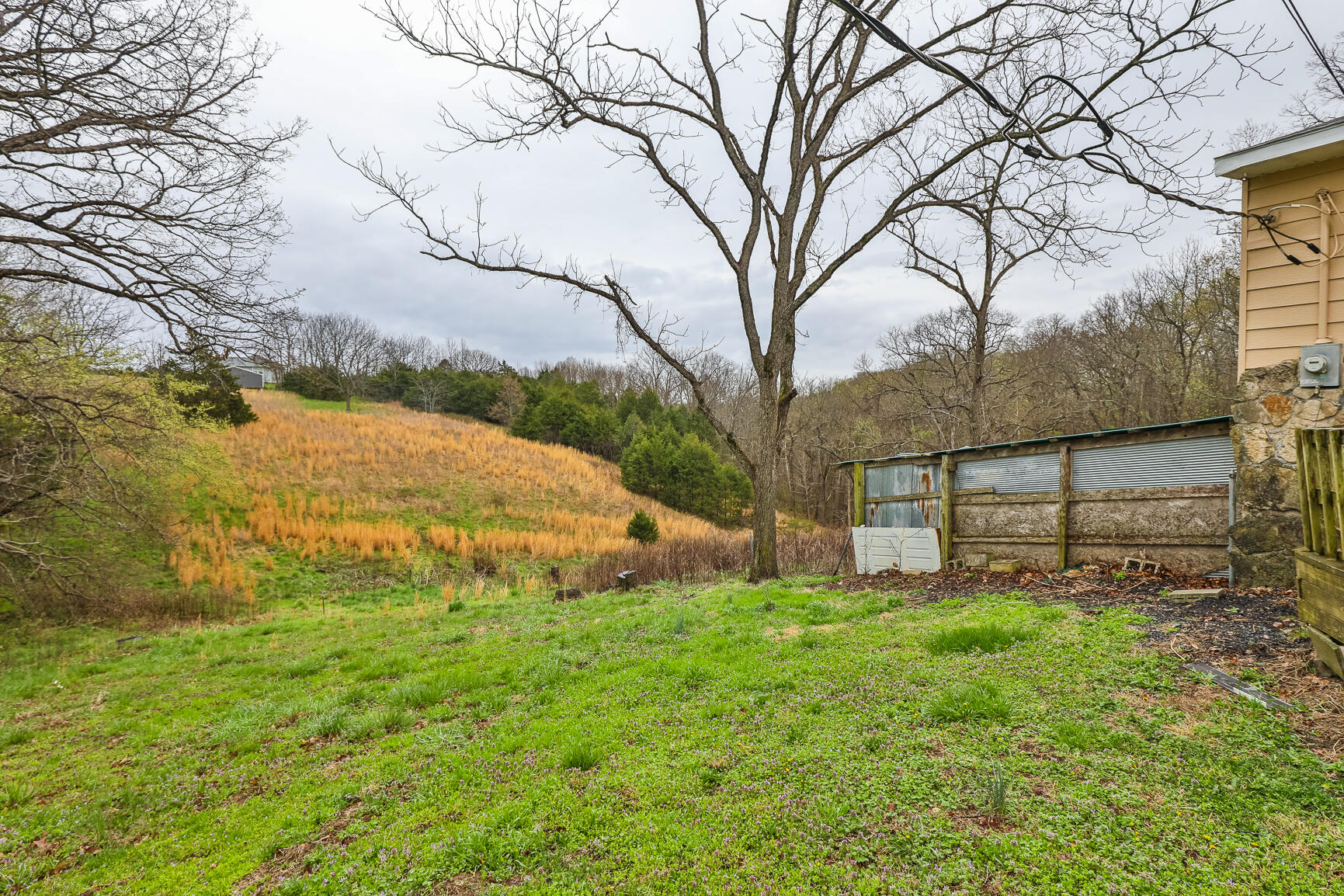 1020 State Hwy Bb Property Photo 29