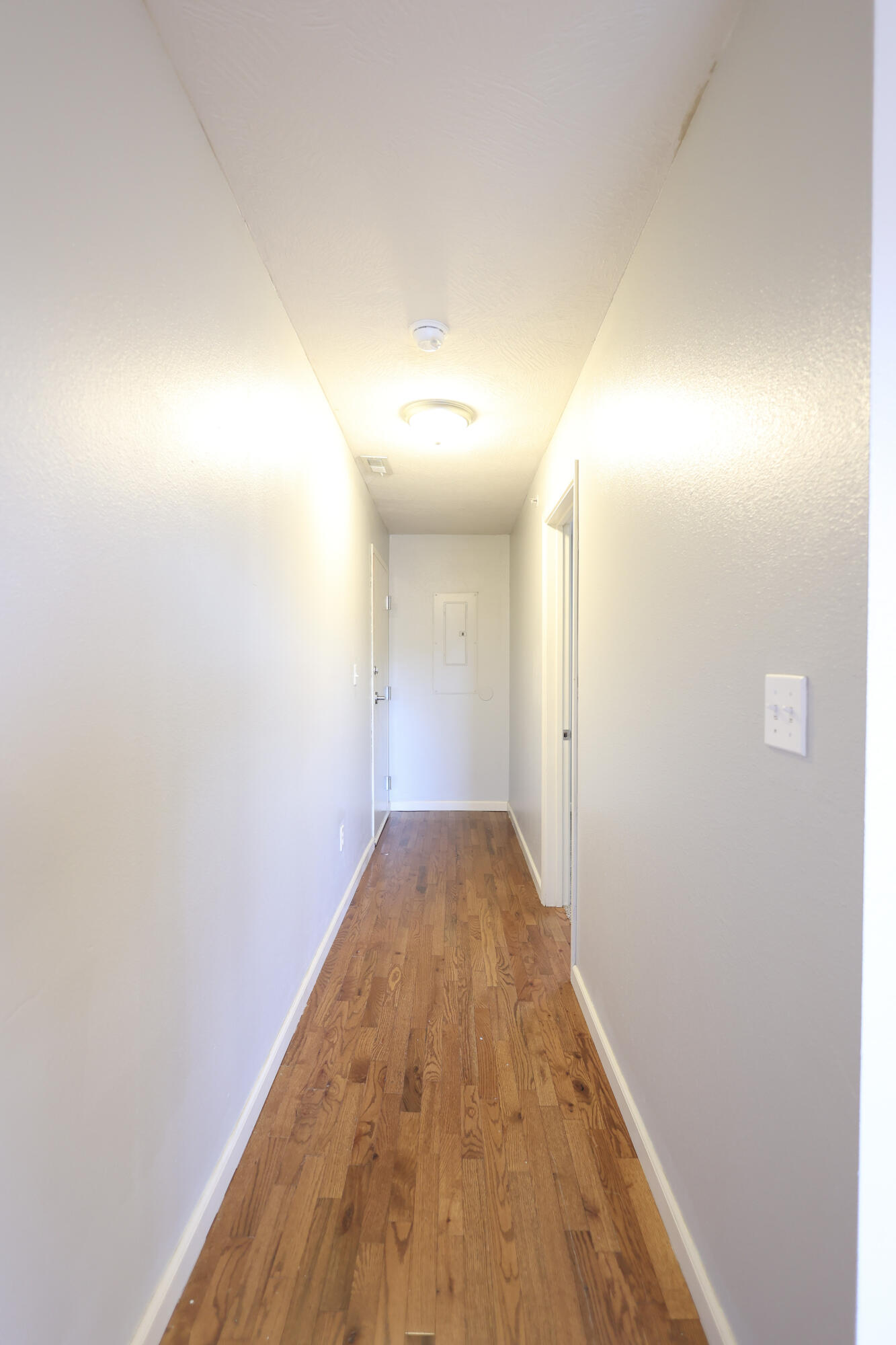 1315 East Elm Street Property Photo 43